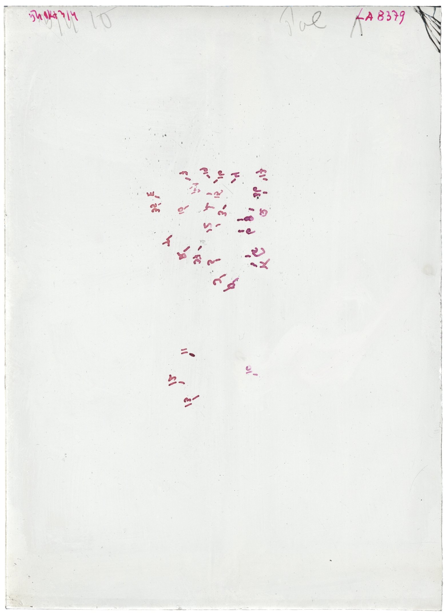 Scan LA08379