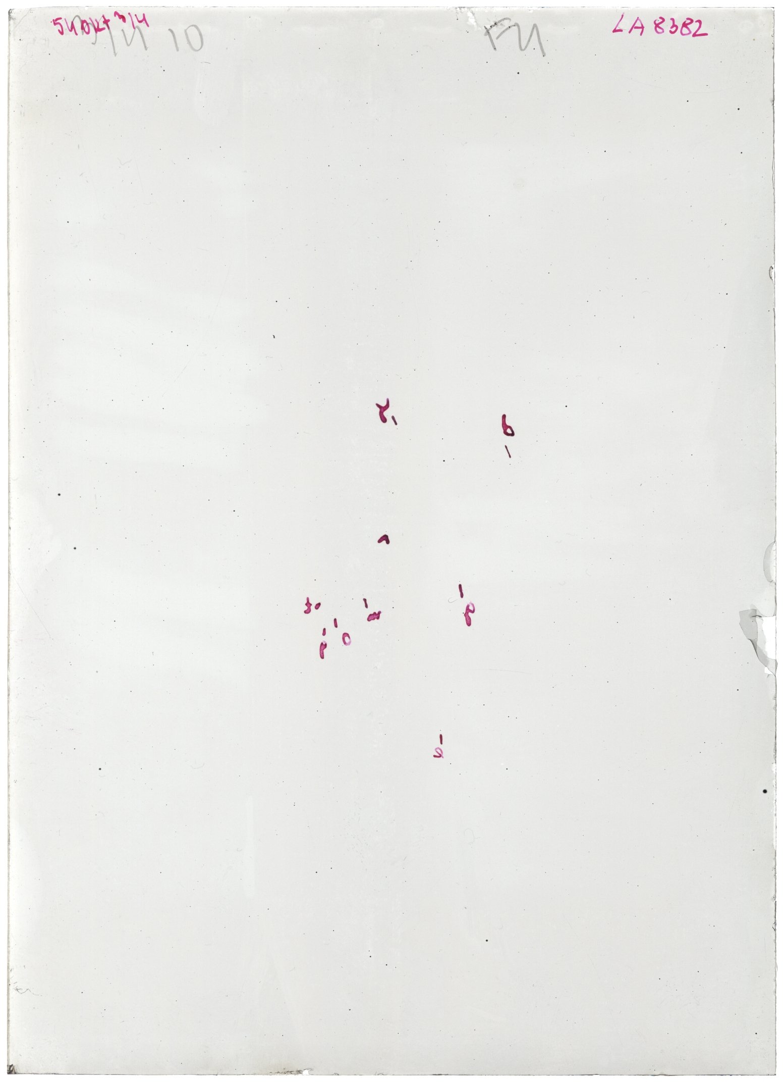 Scan LA08382