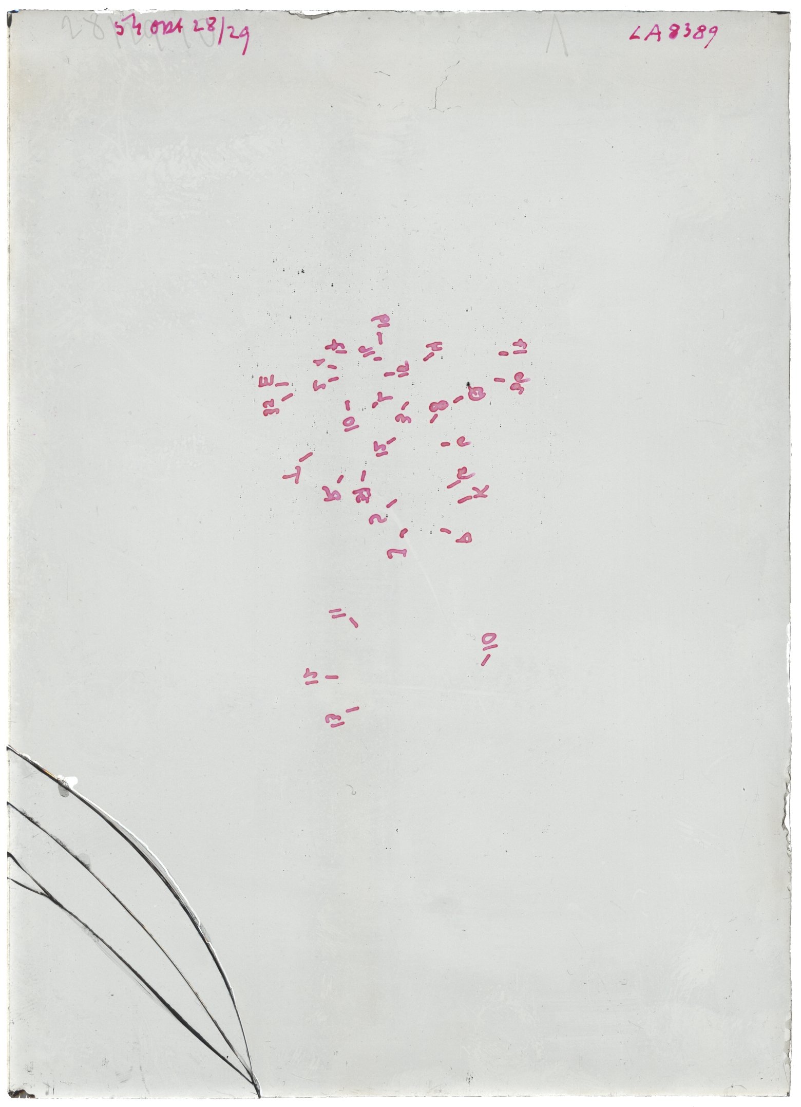 Scan LA08389