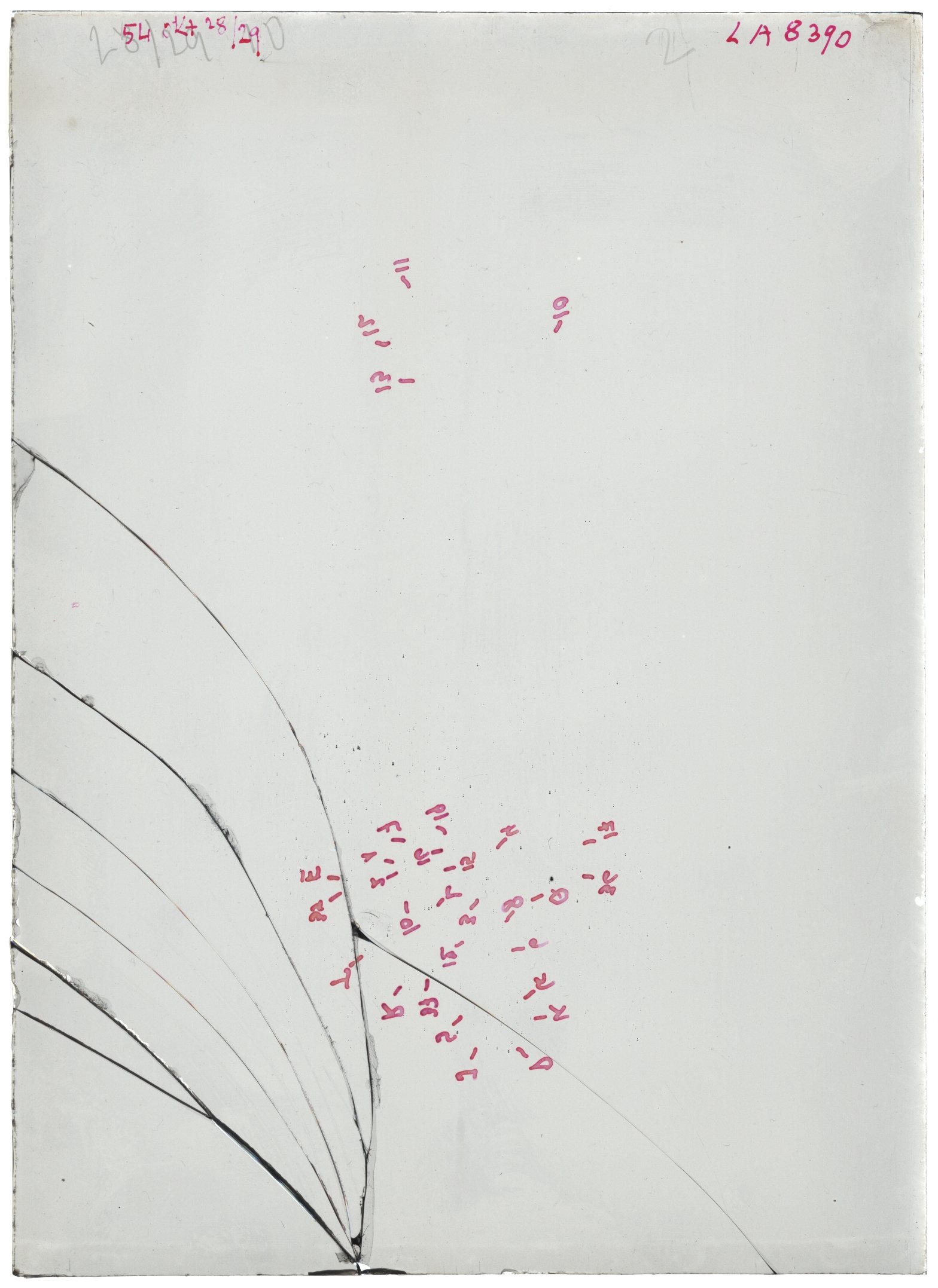 Scan LA08390