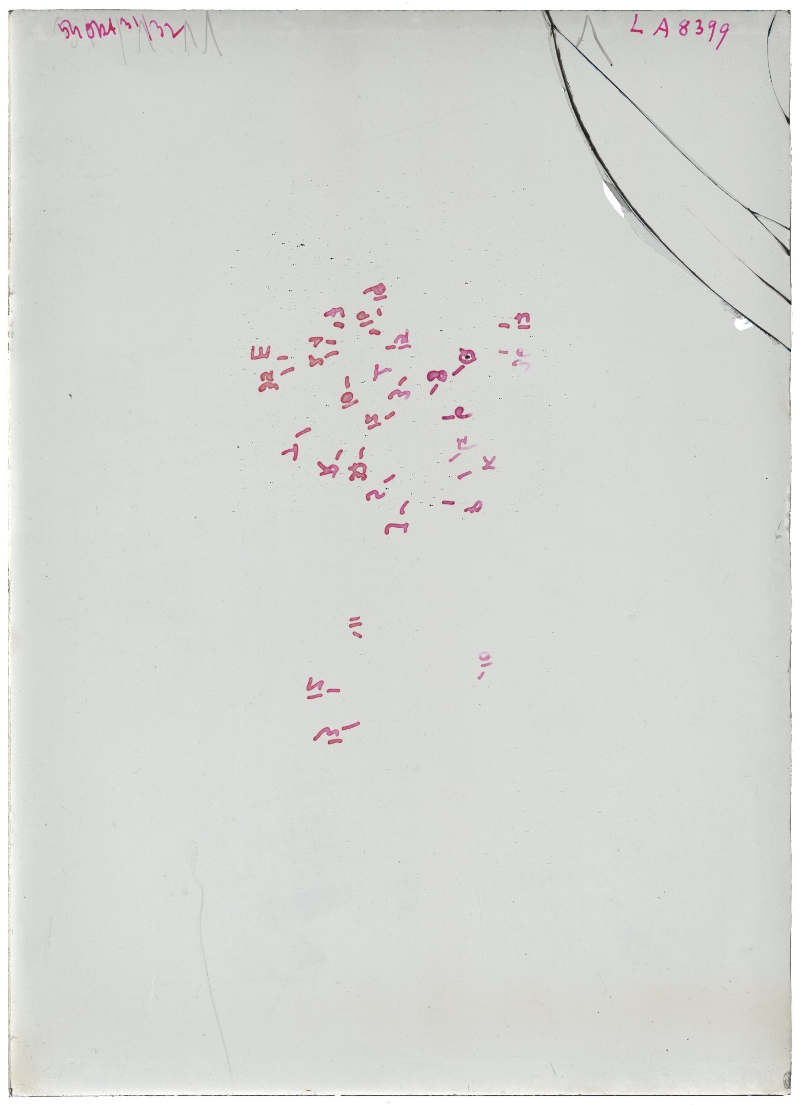Scan LA08399
