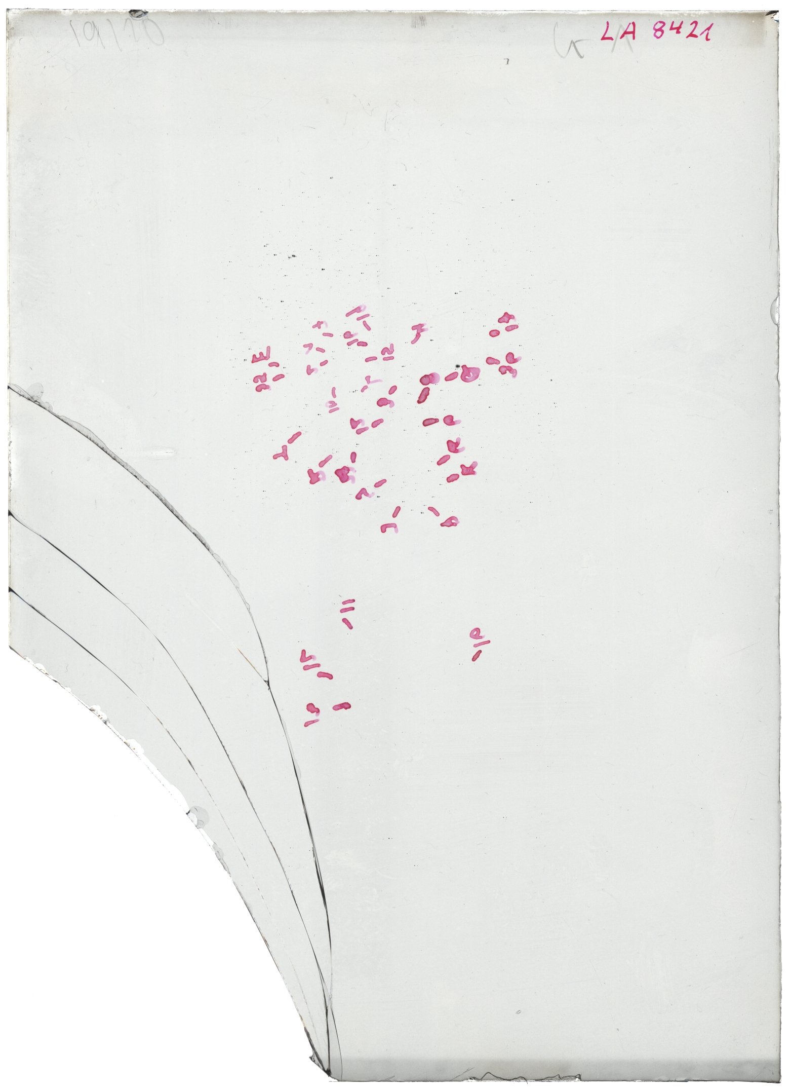 Scan LA08421