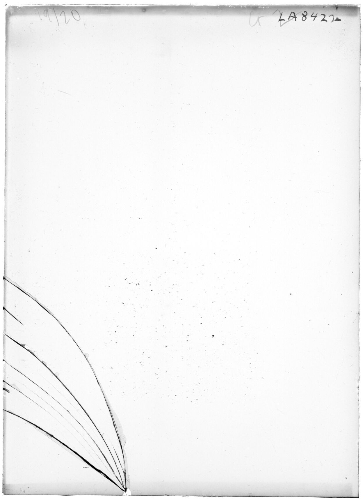 Scan LA08422