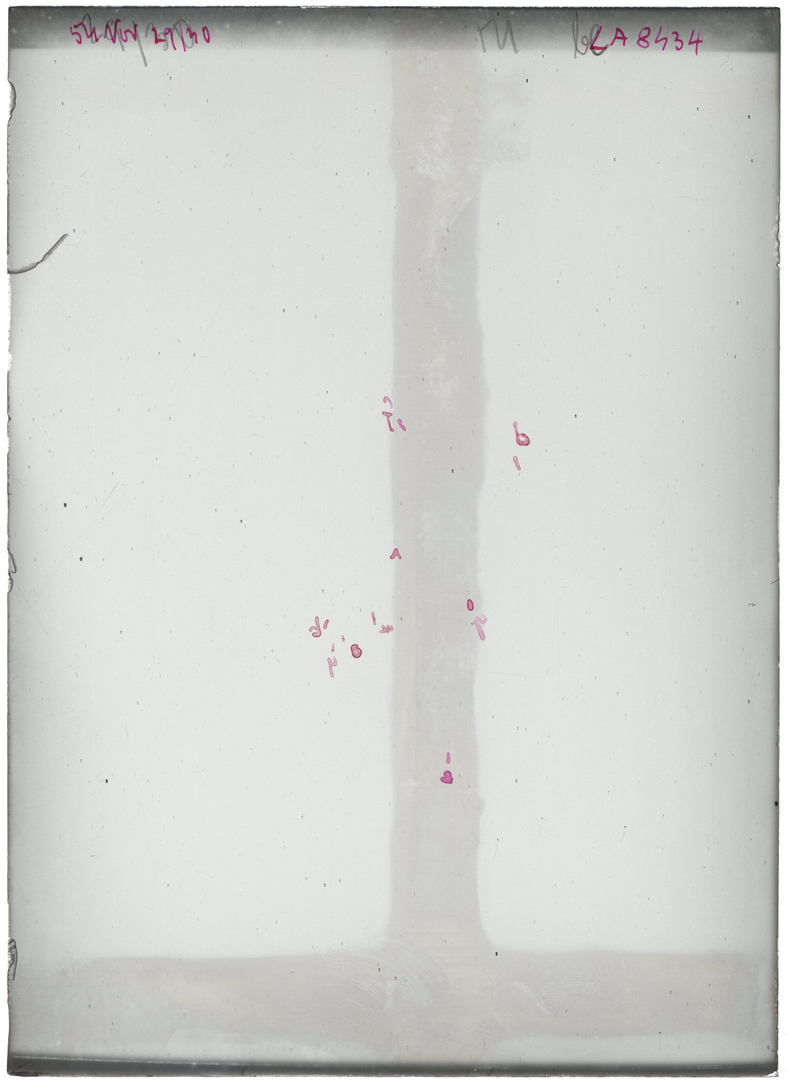 Scan LA08434