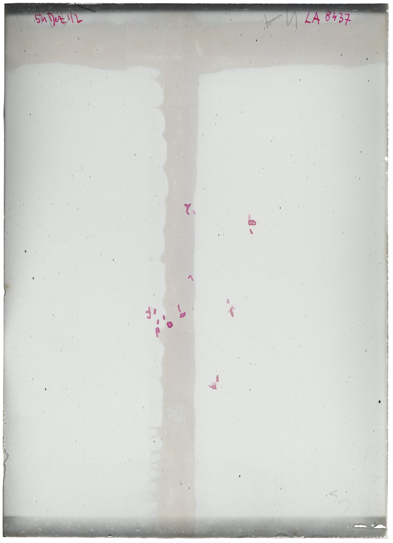 Scan LA08437