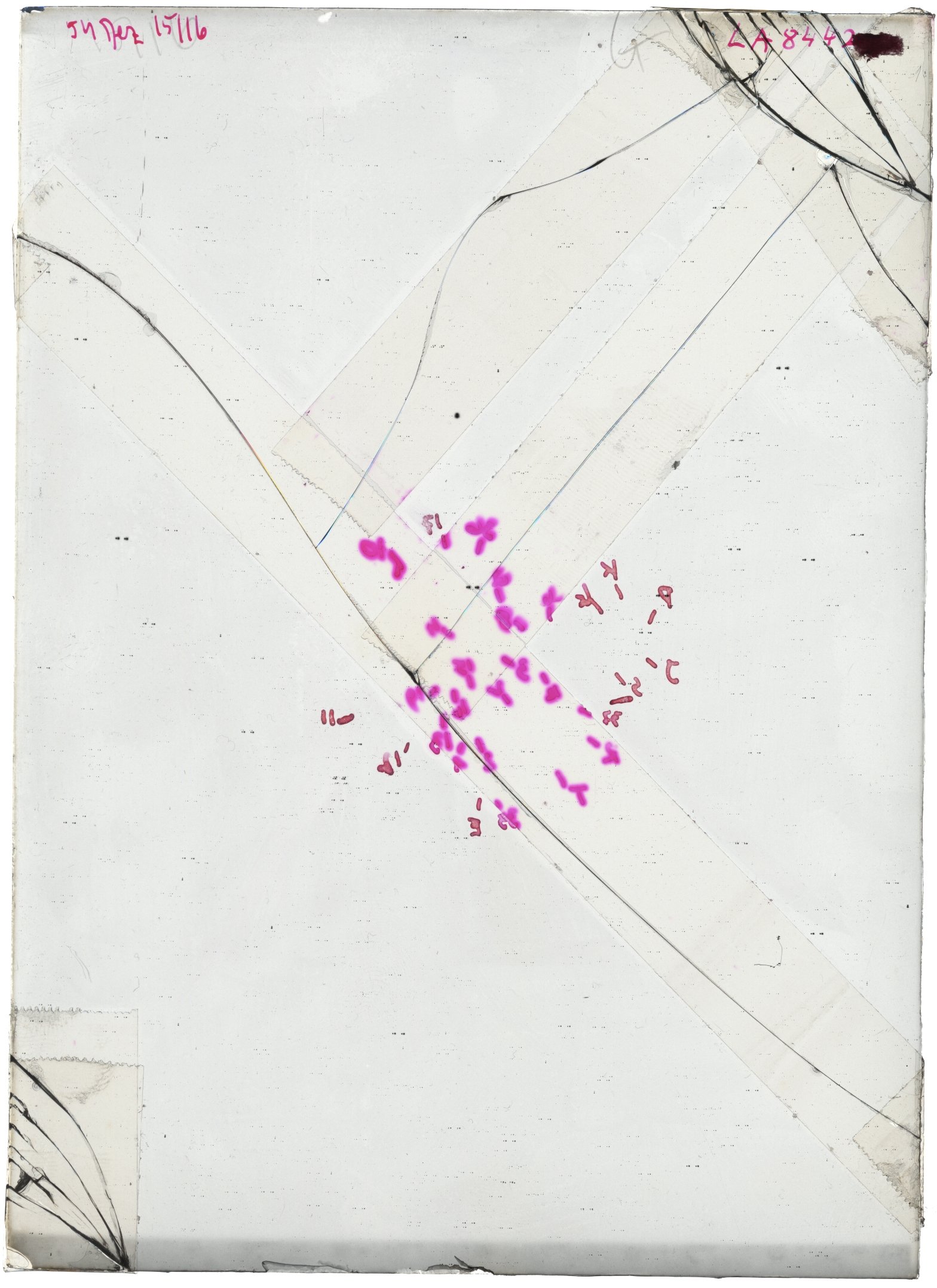Scan LA08442