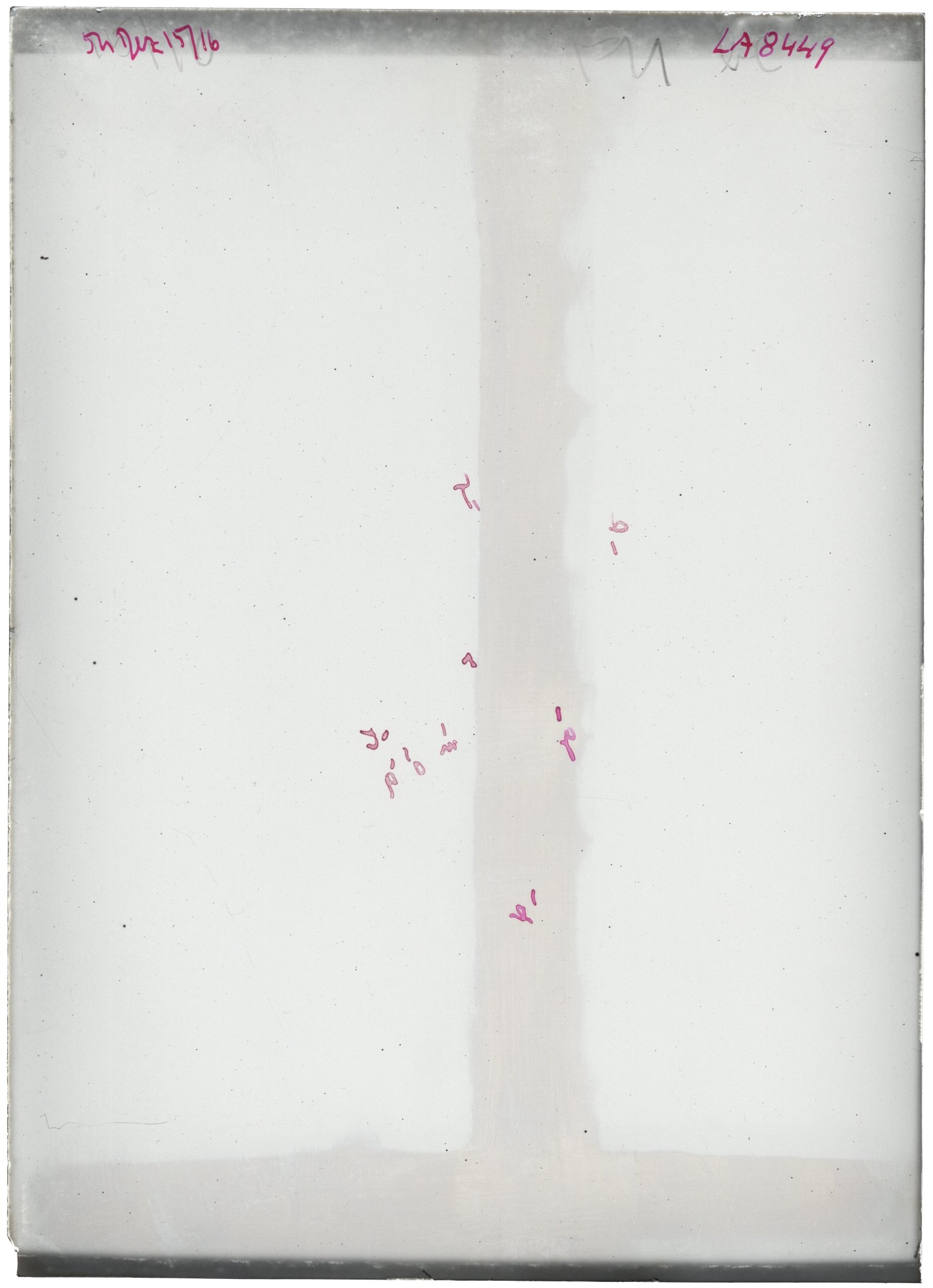 Scan LA08449