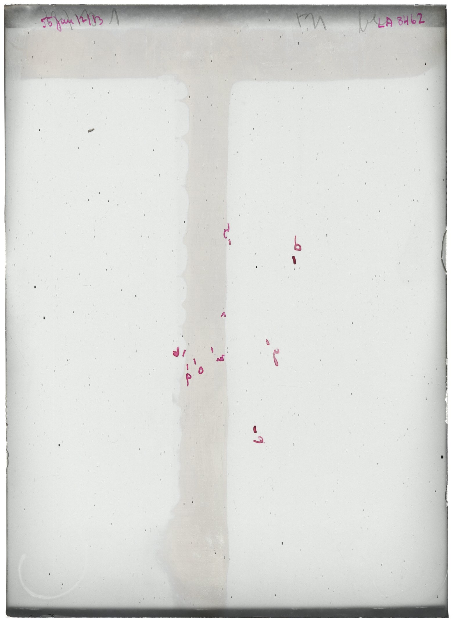 Scan LA08462