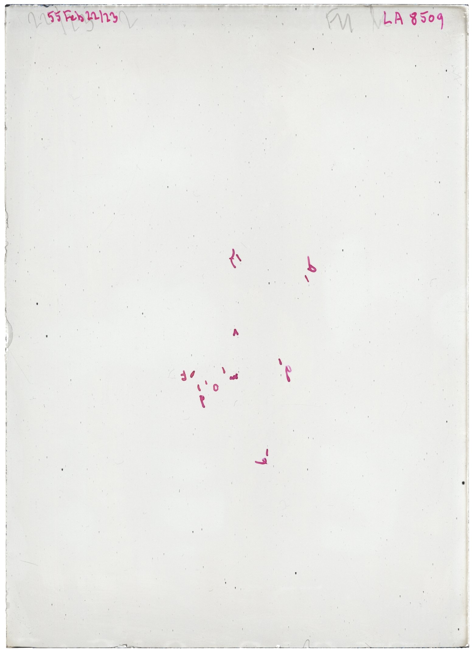 Scan LA08509