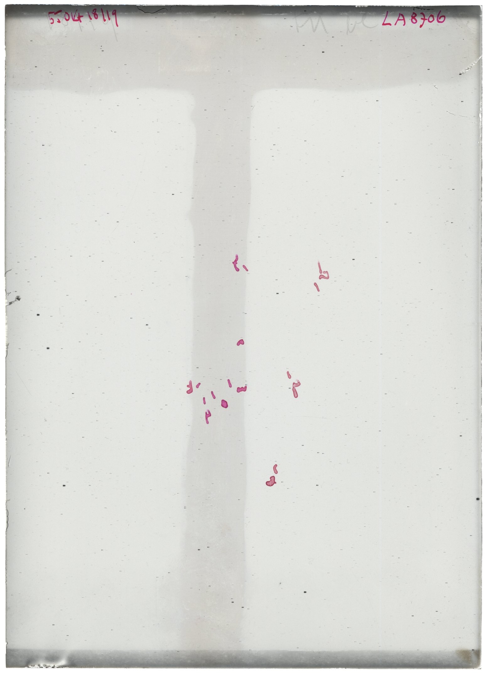 Scan LA08706