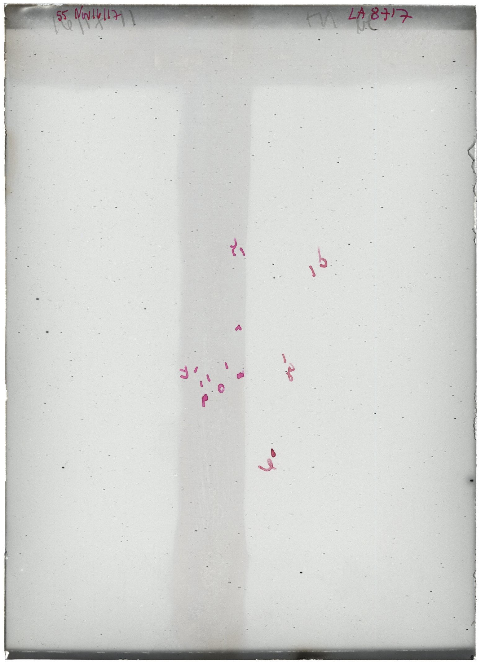 Scan LA08717