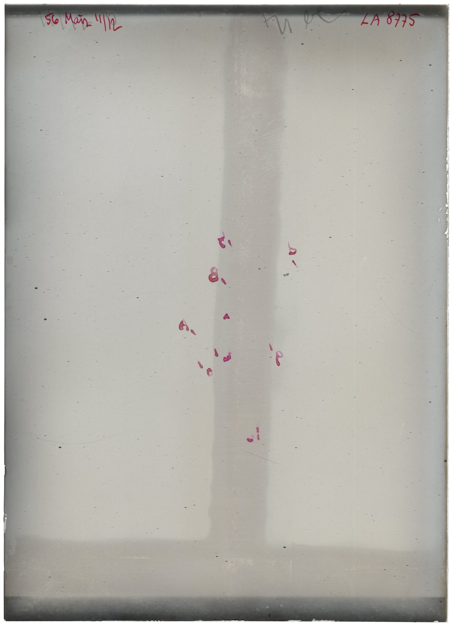Scan LA08775