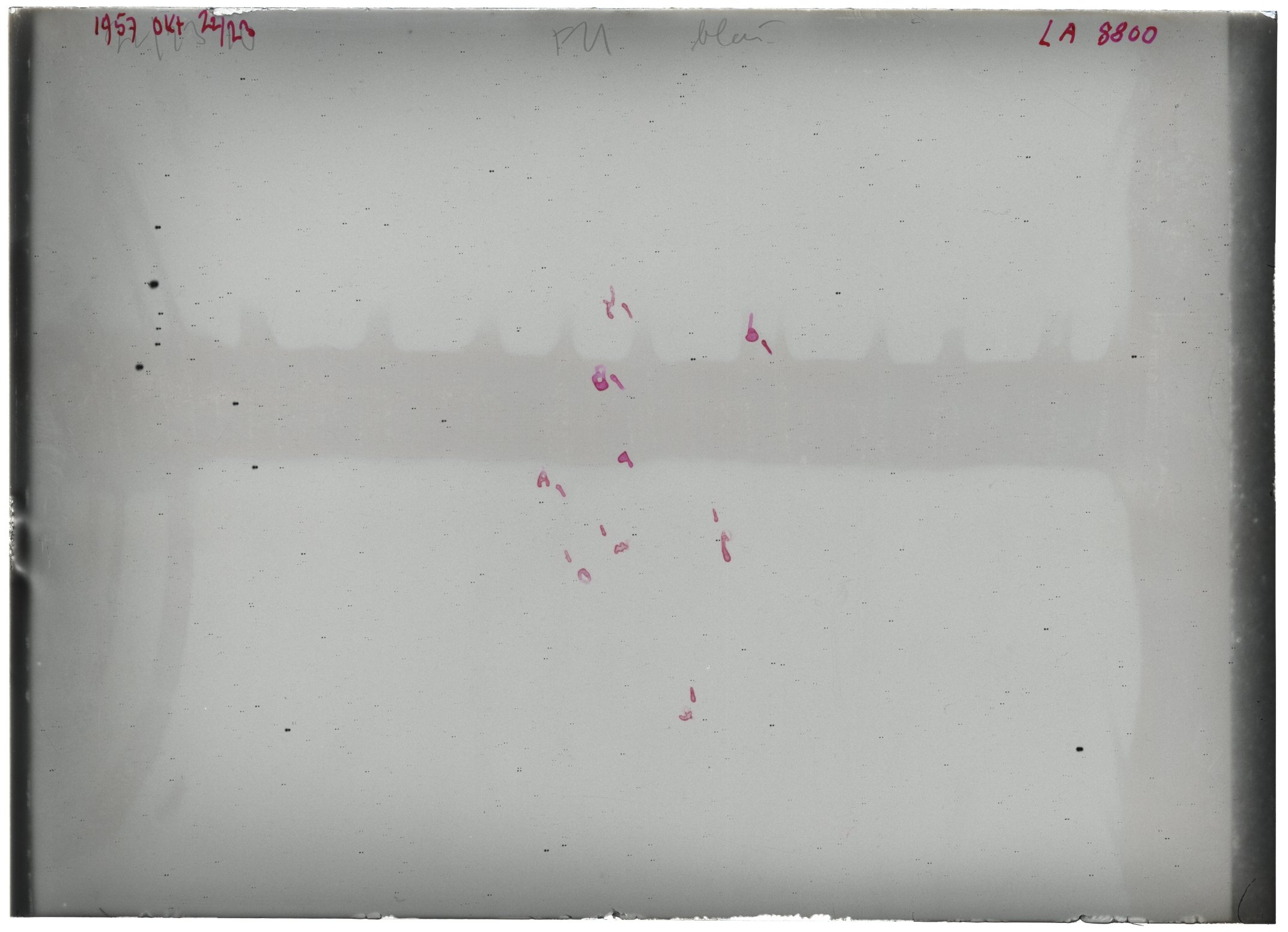 Scan LA08800