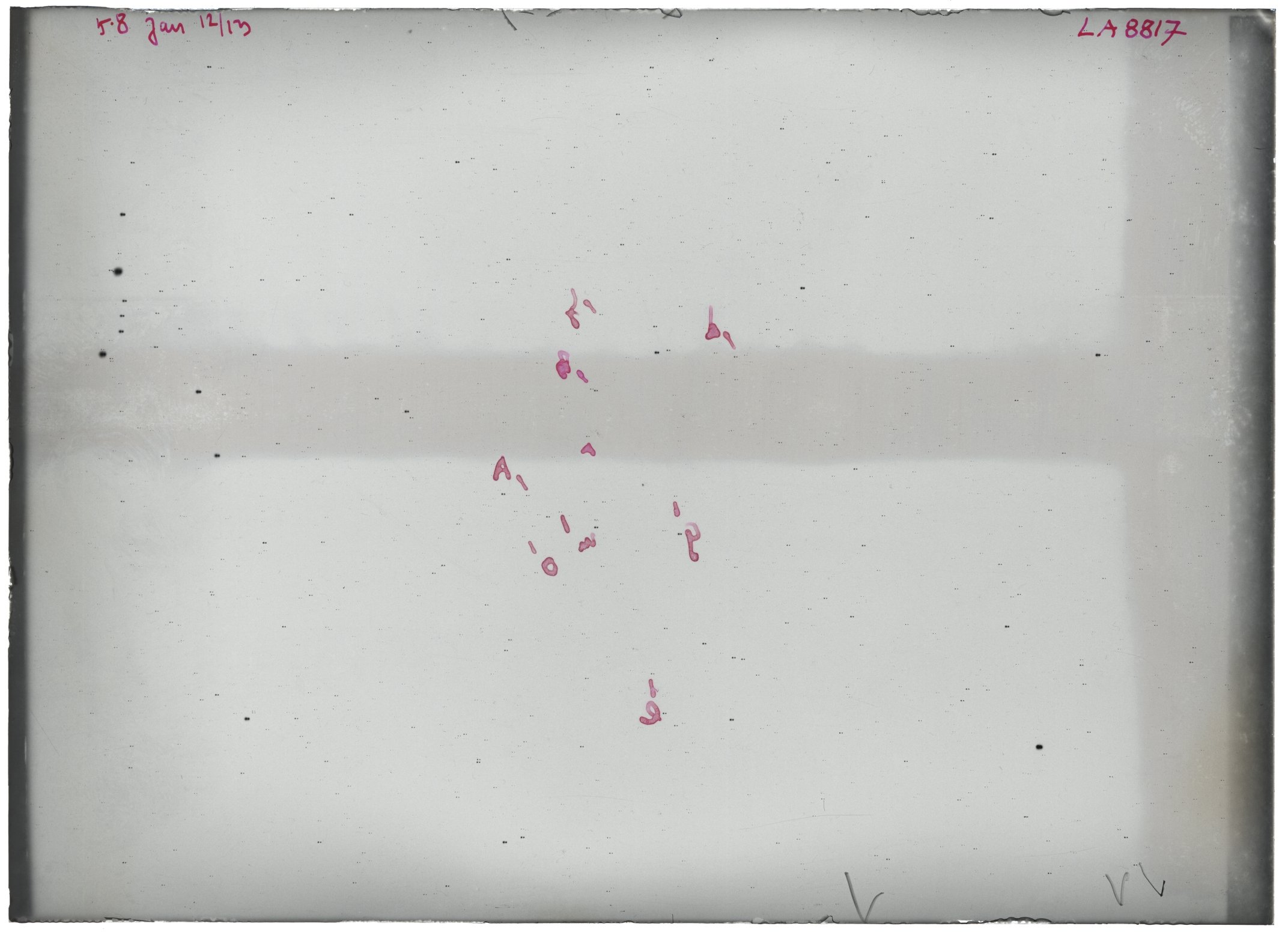Scan LA08817