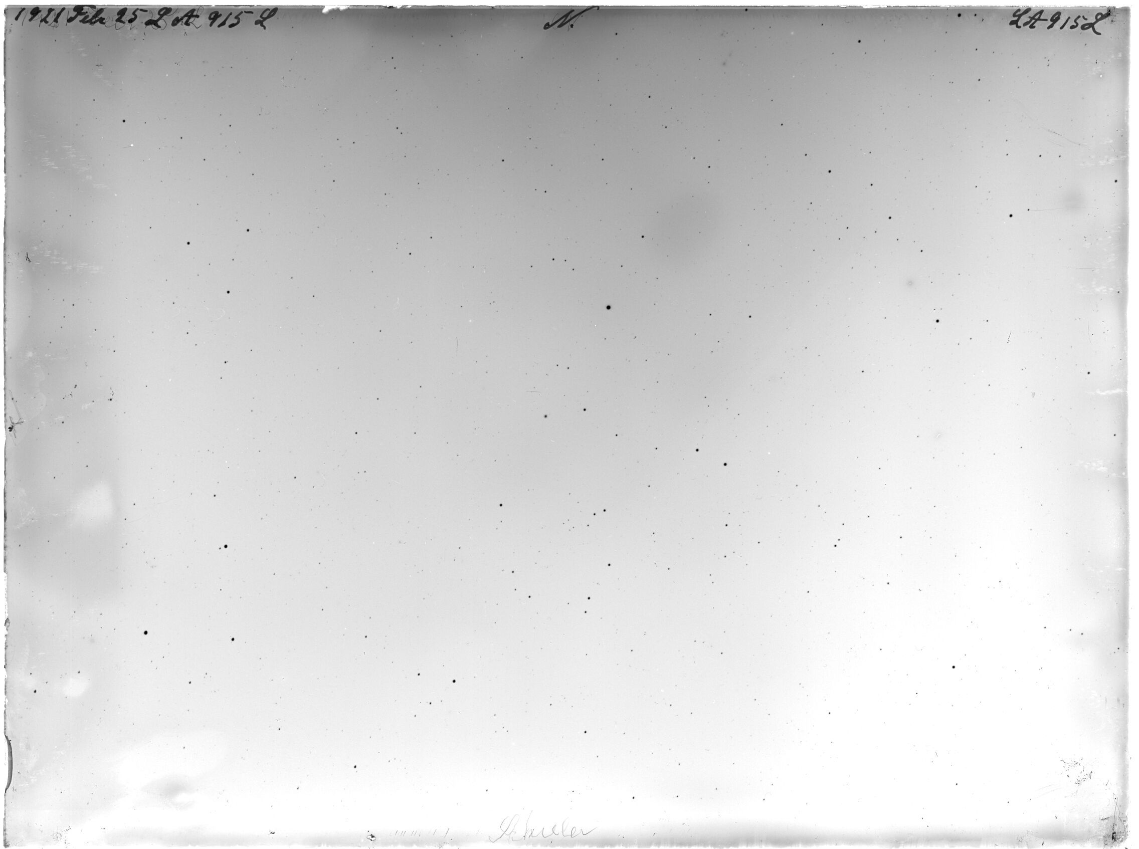 Scan LA00915
