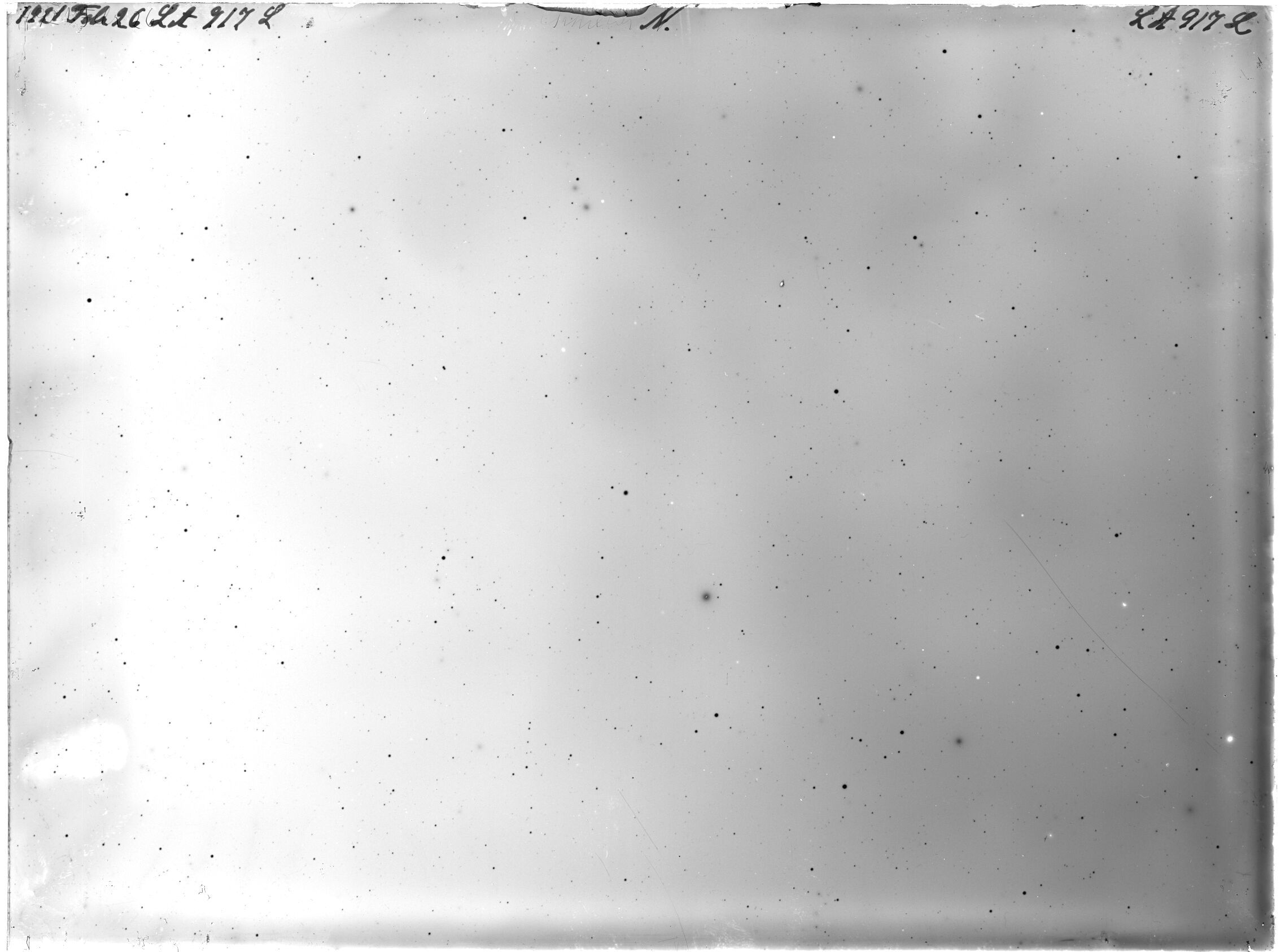 Scan LA00917