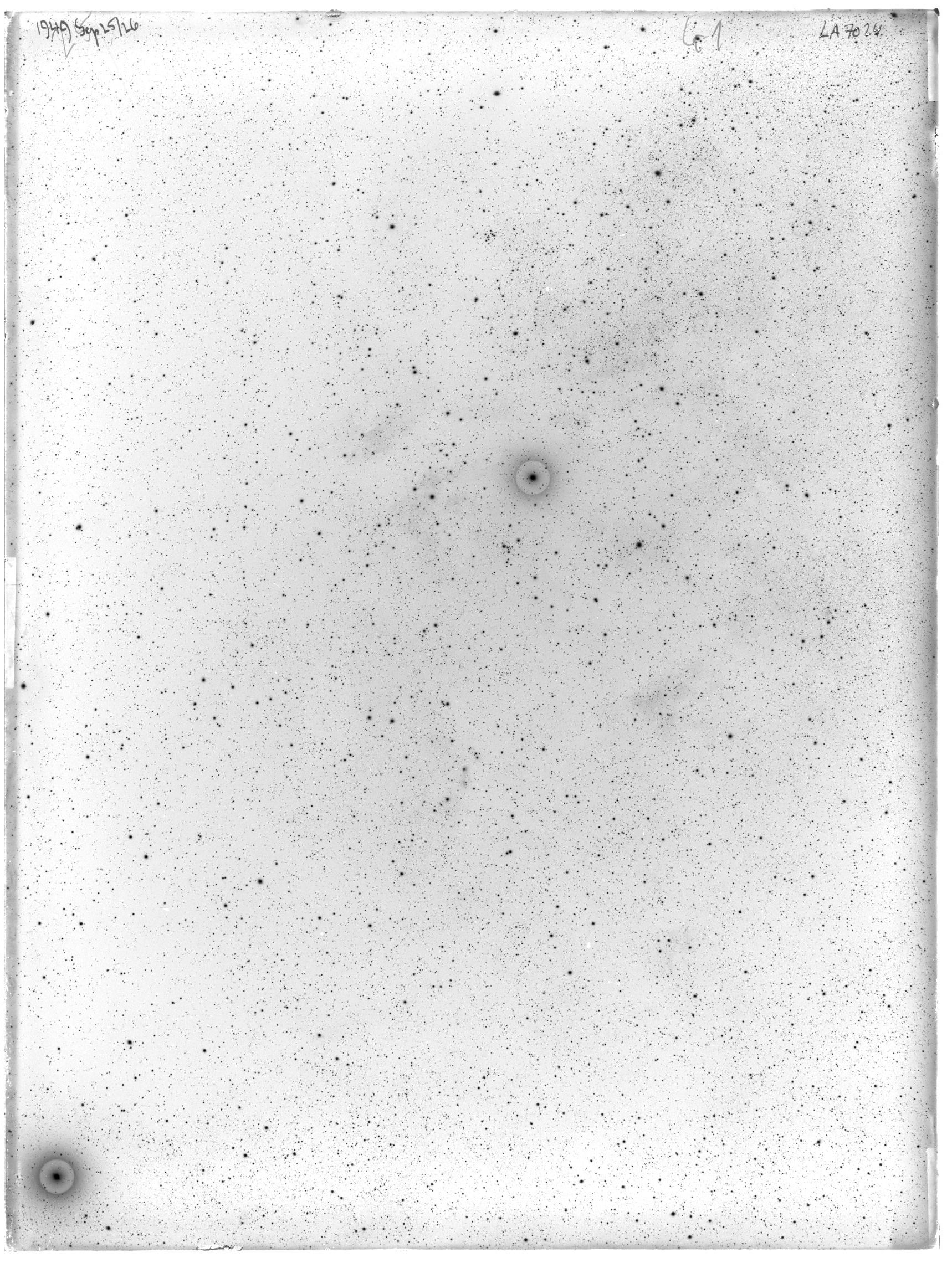Scan LA07024