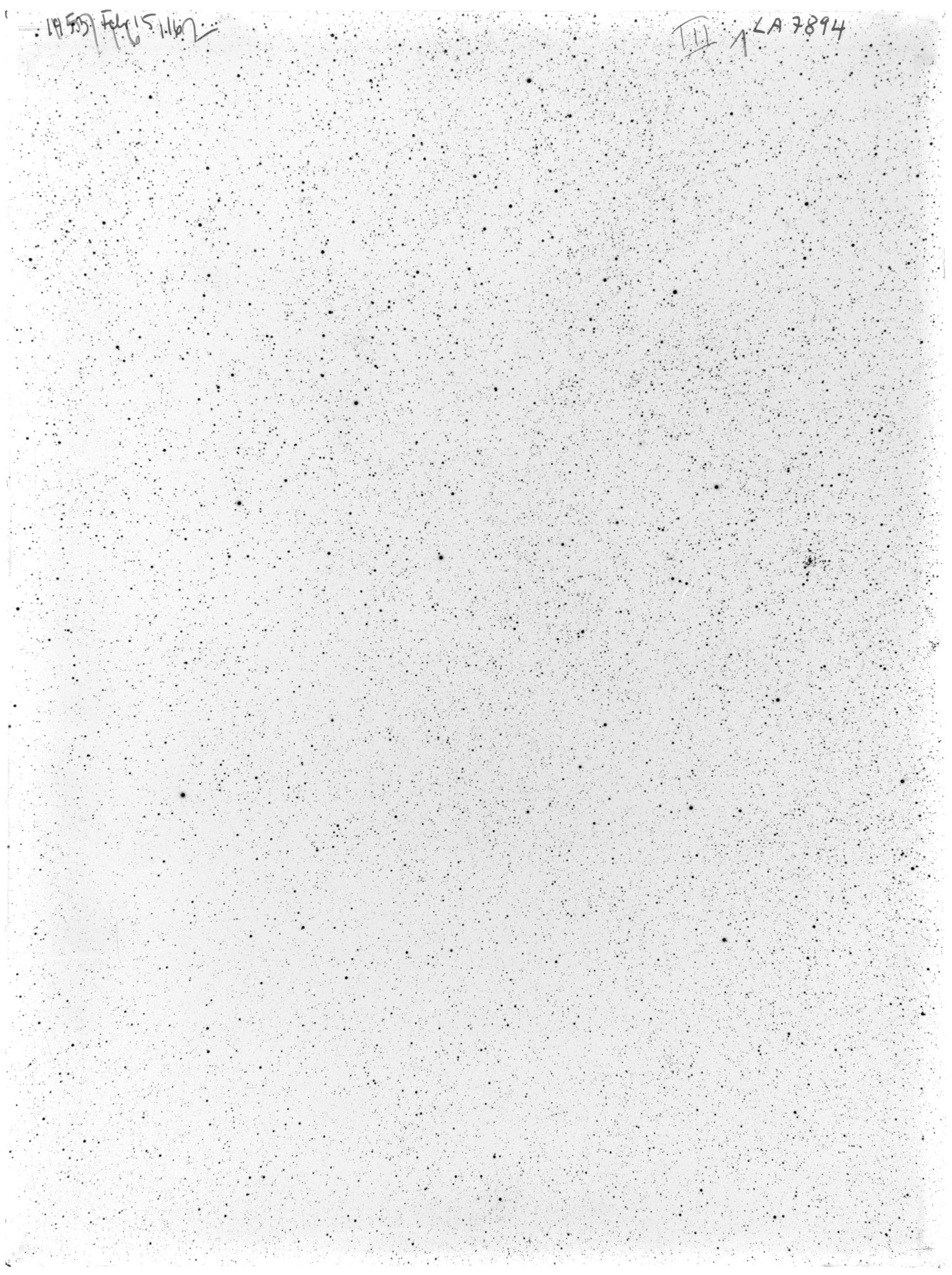 Scan LA07894
