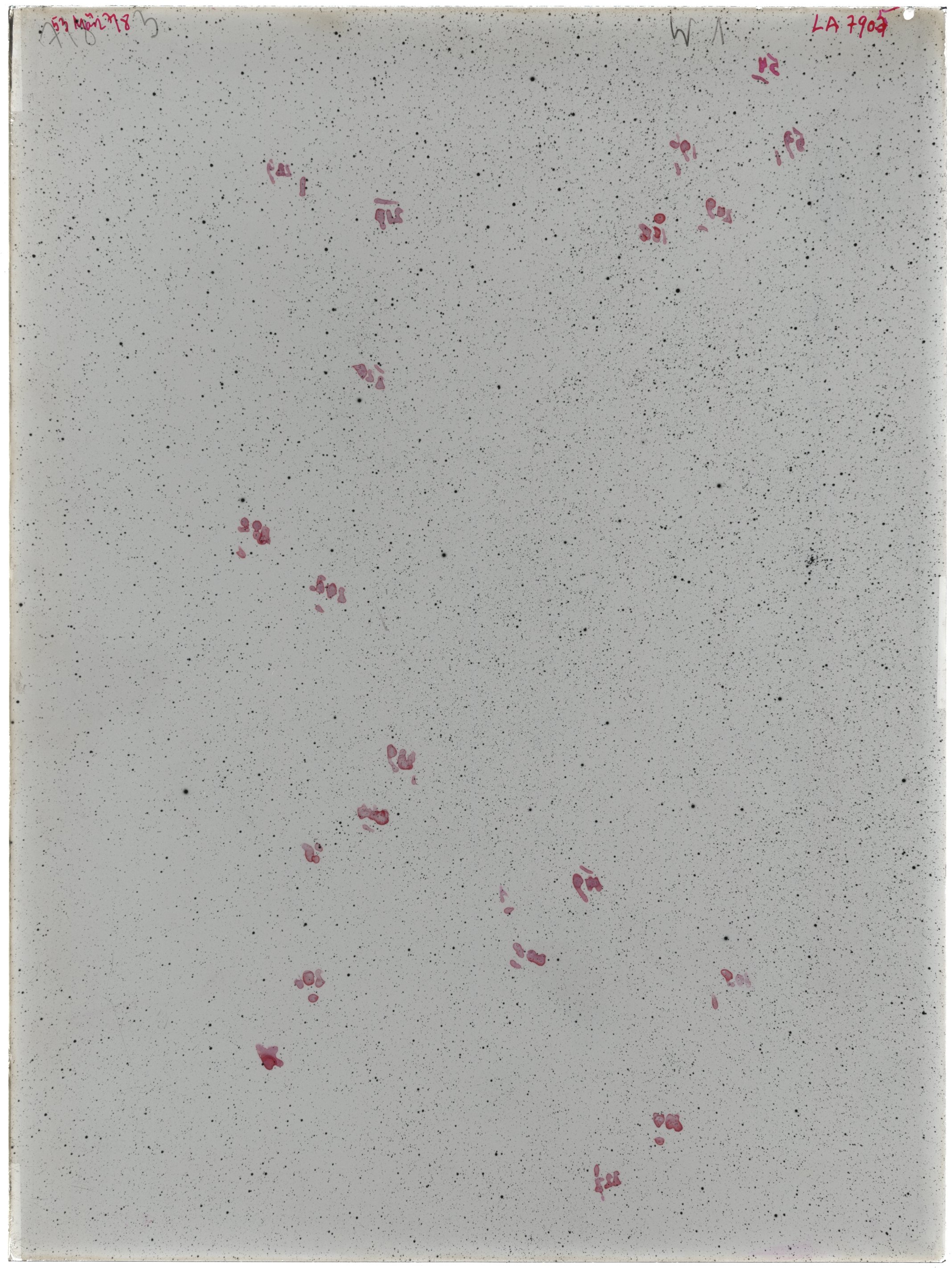 Scan LA07905