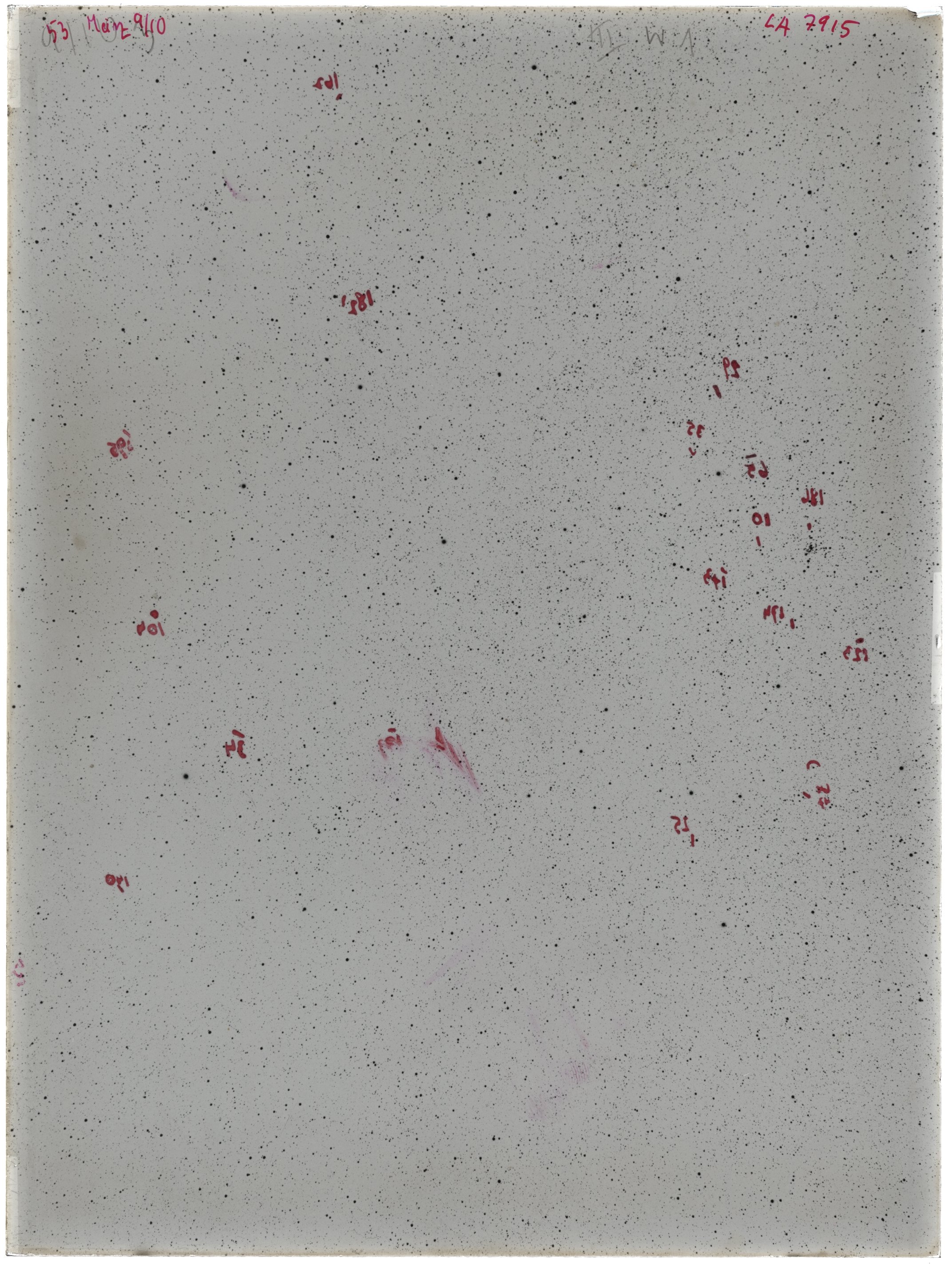 Scan LA07915
