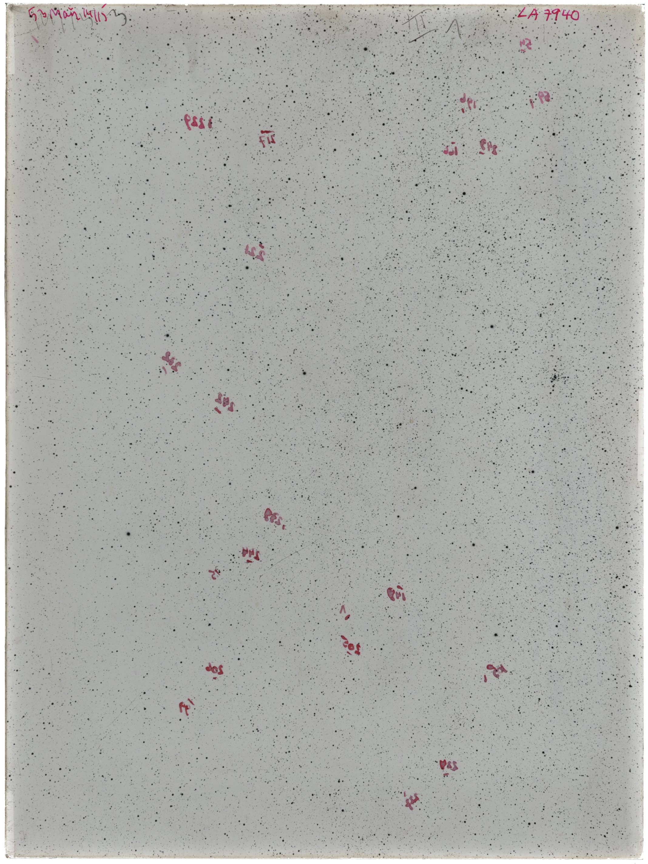 Scan LA07940