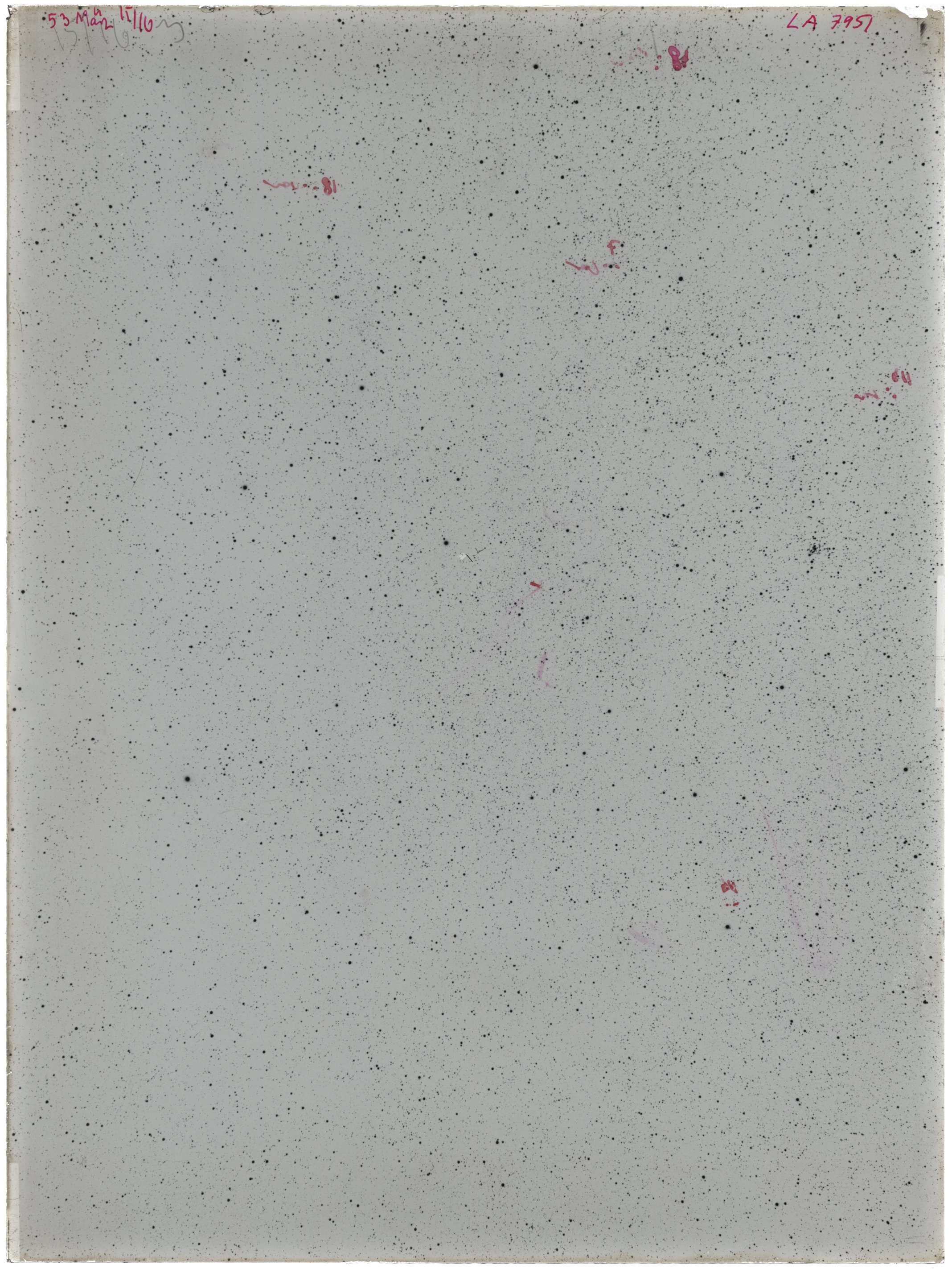 Scan LA07951