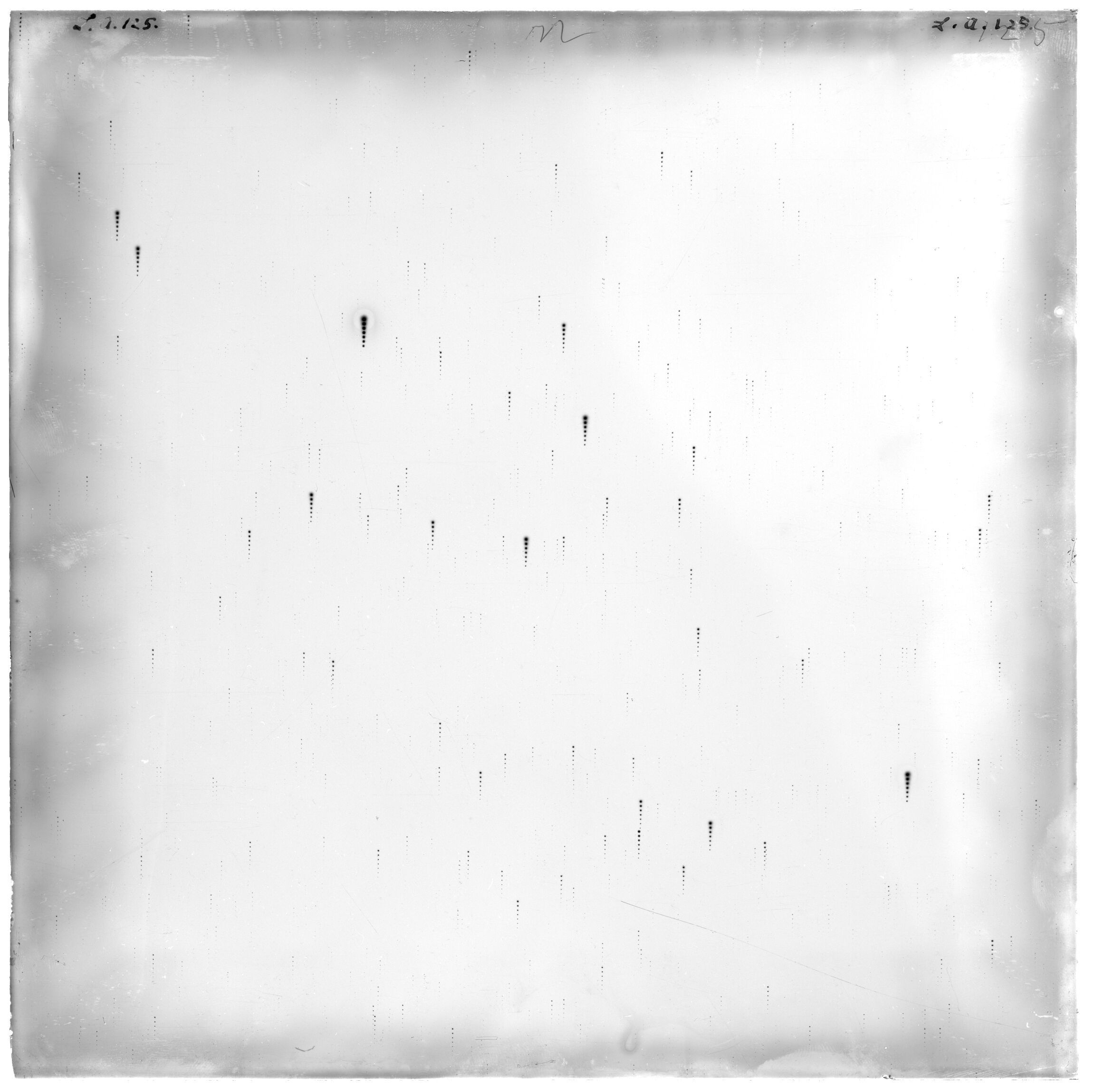 Scan LA00125