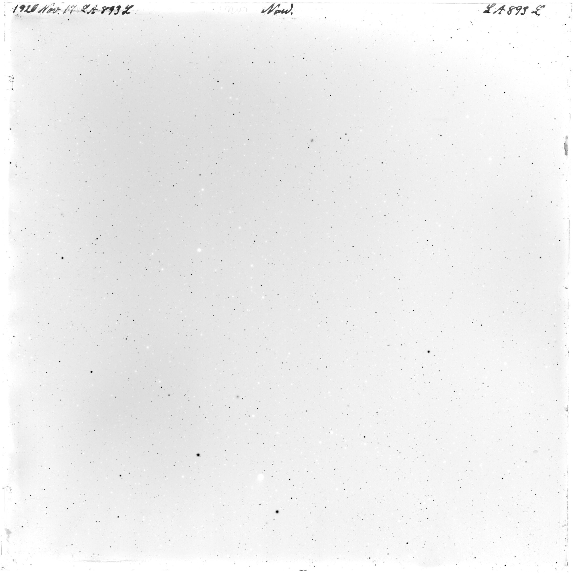 Scan LA00893