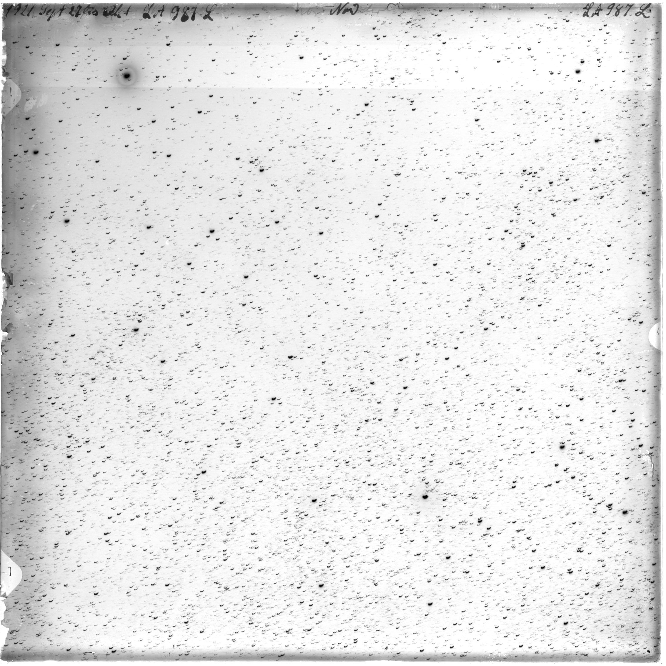 Scan LA00987