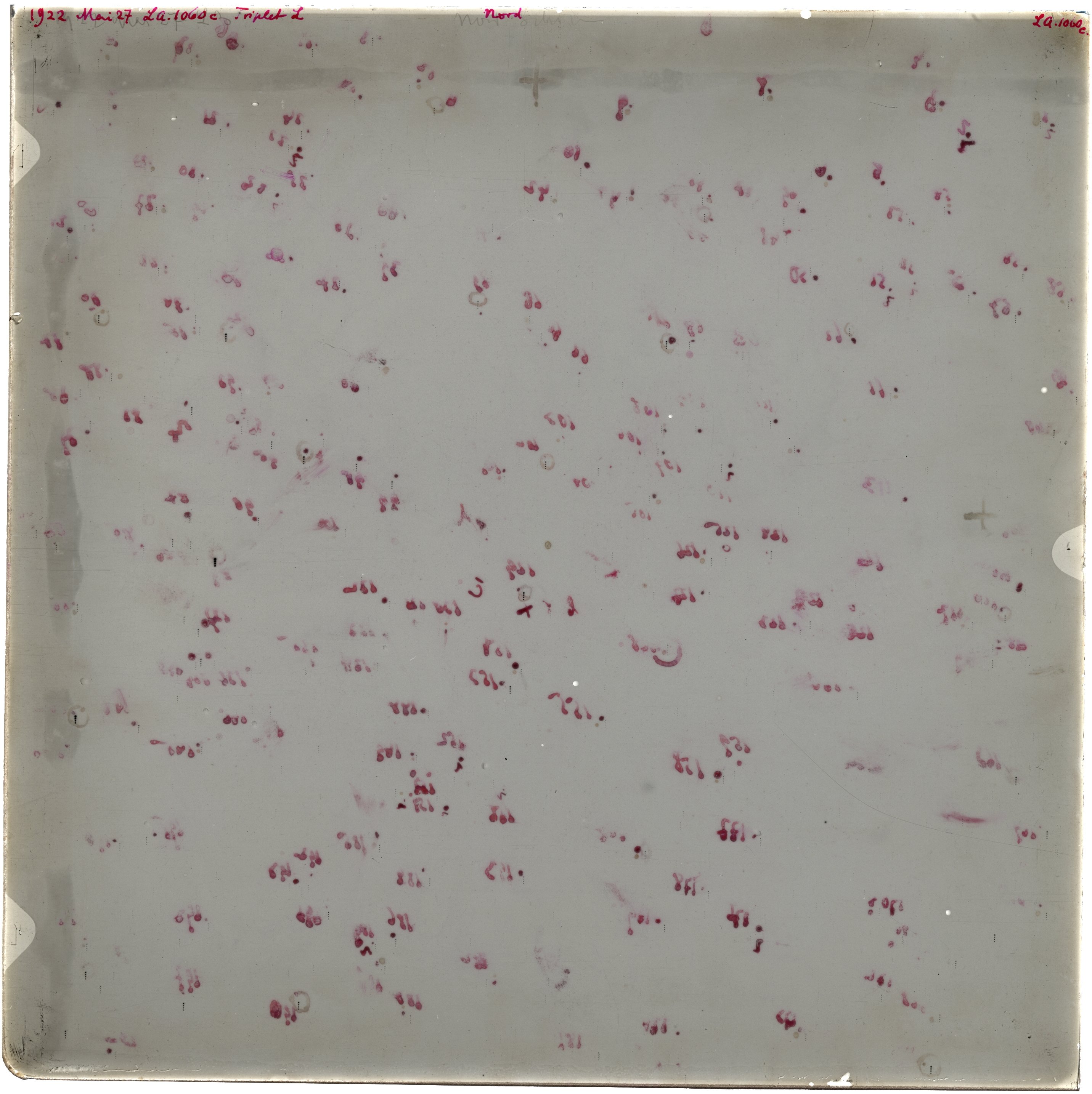 Scan LA01060c