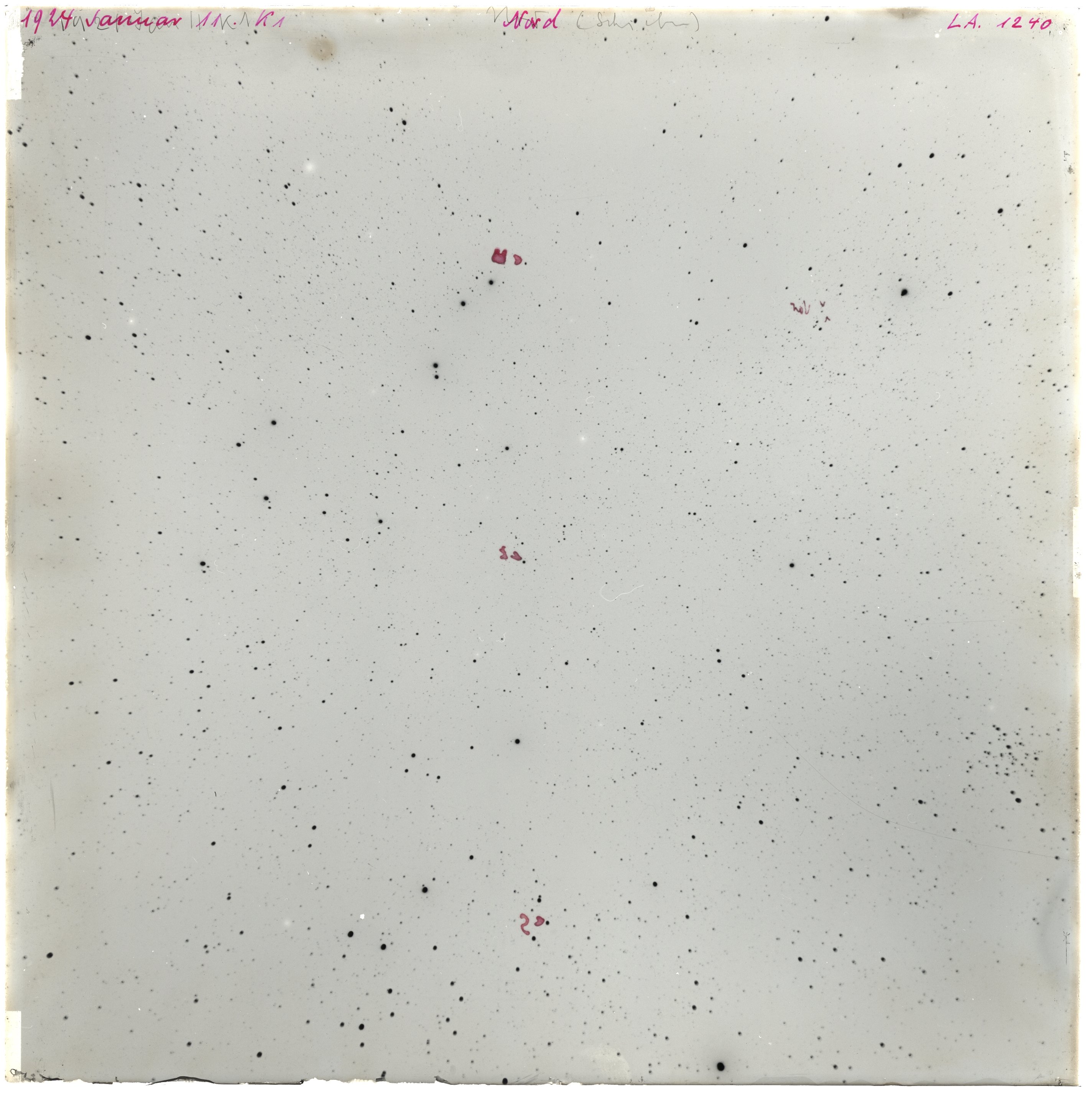 Scan LA01240