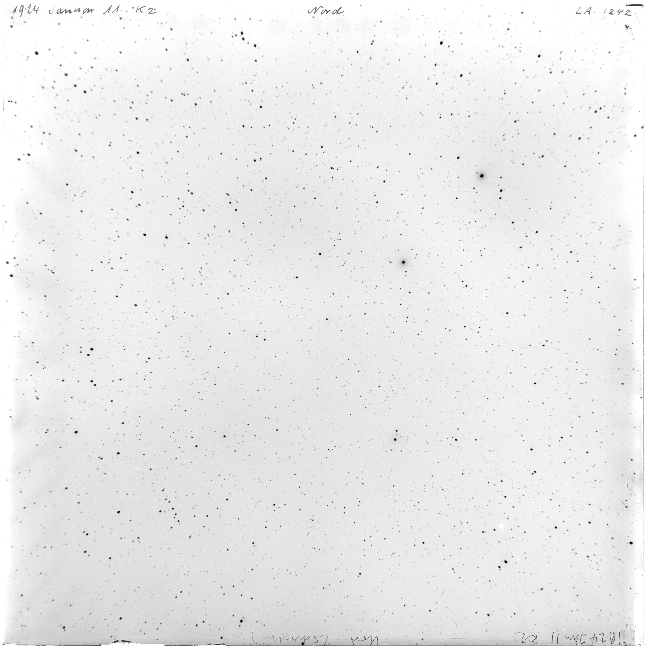 Scan LA01242