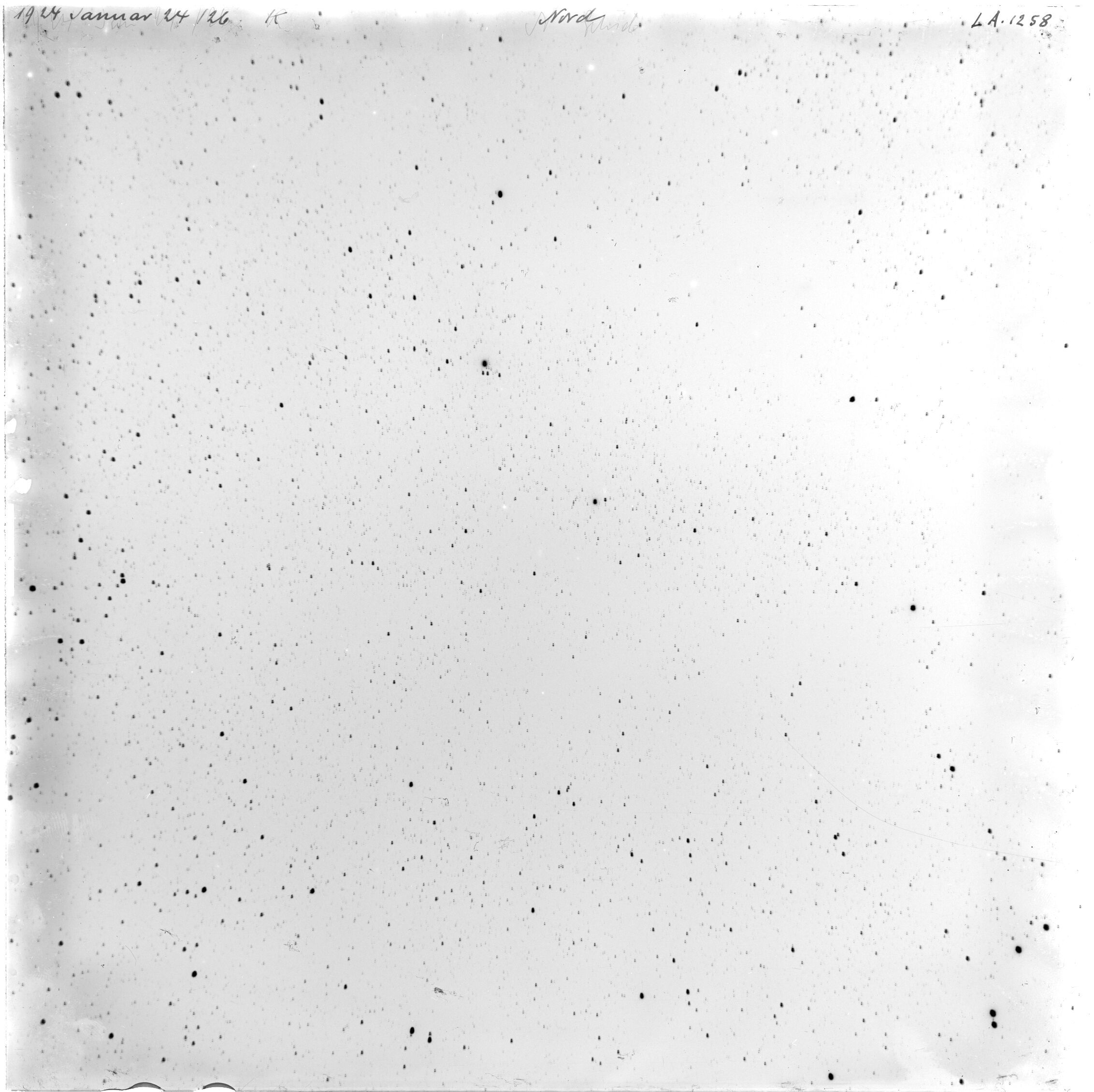 Scan LA01258