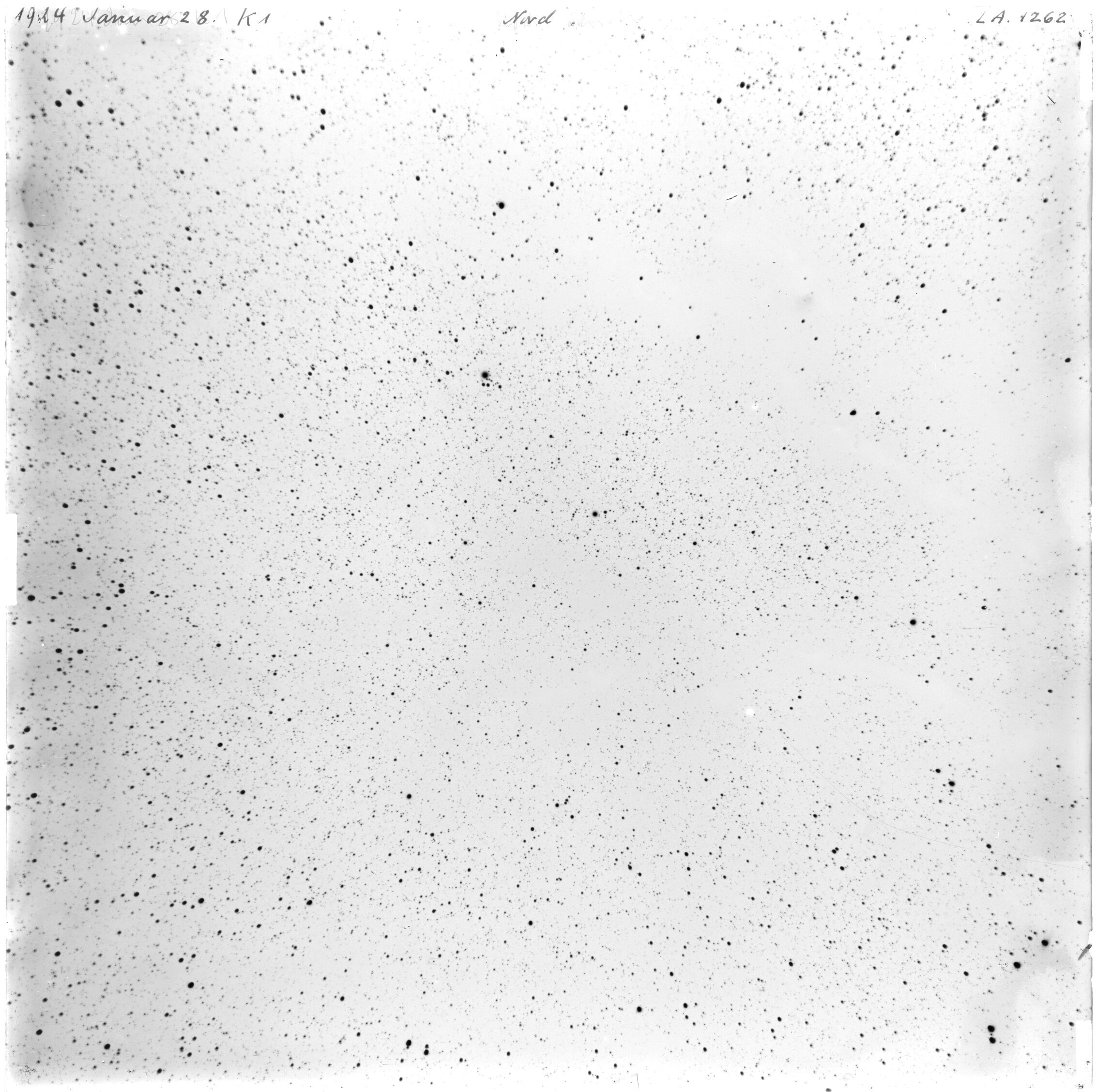 Scan LA01262