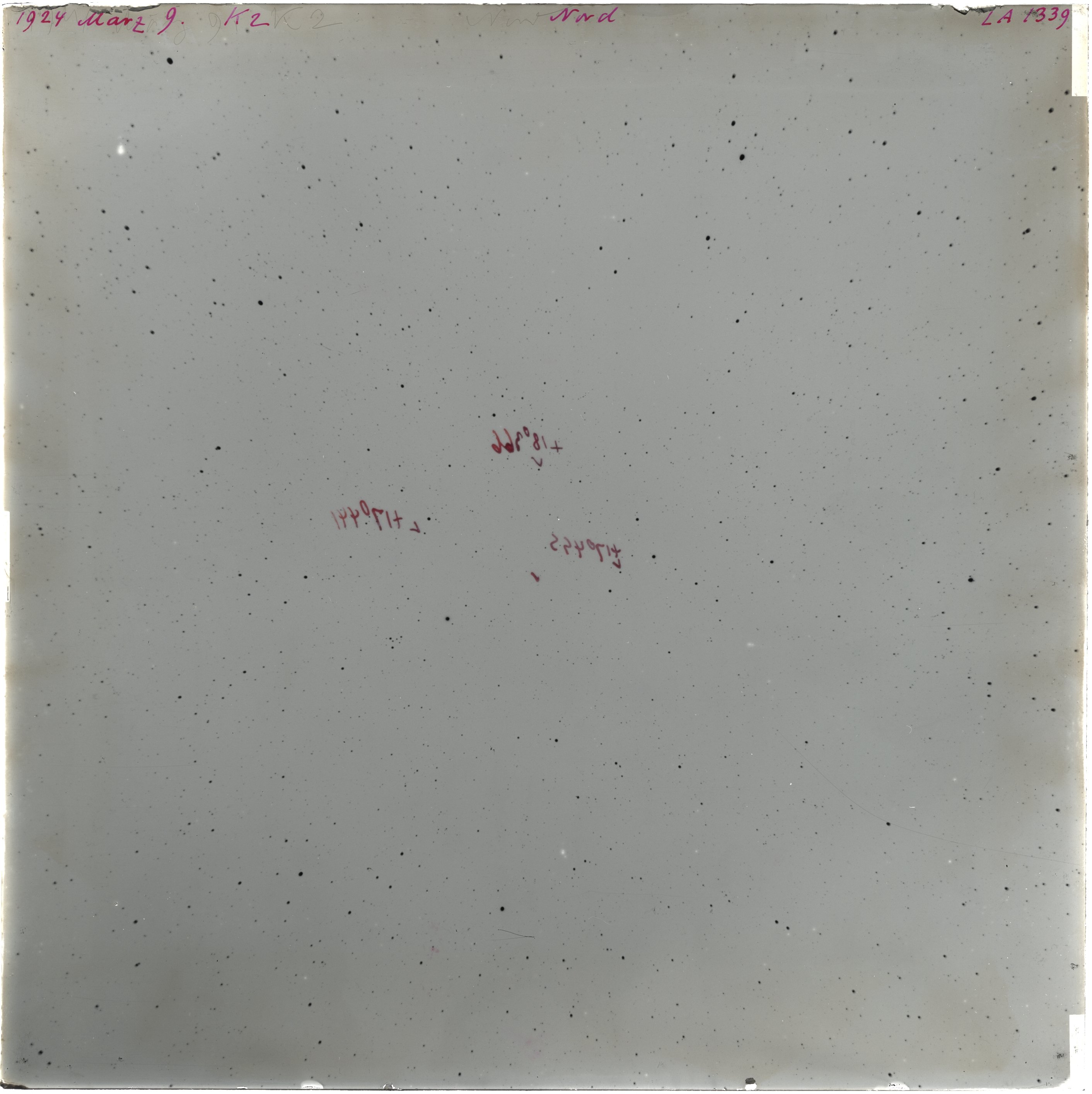 Scan LA01339