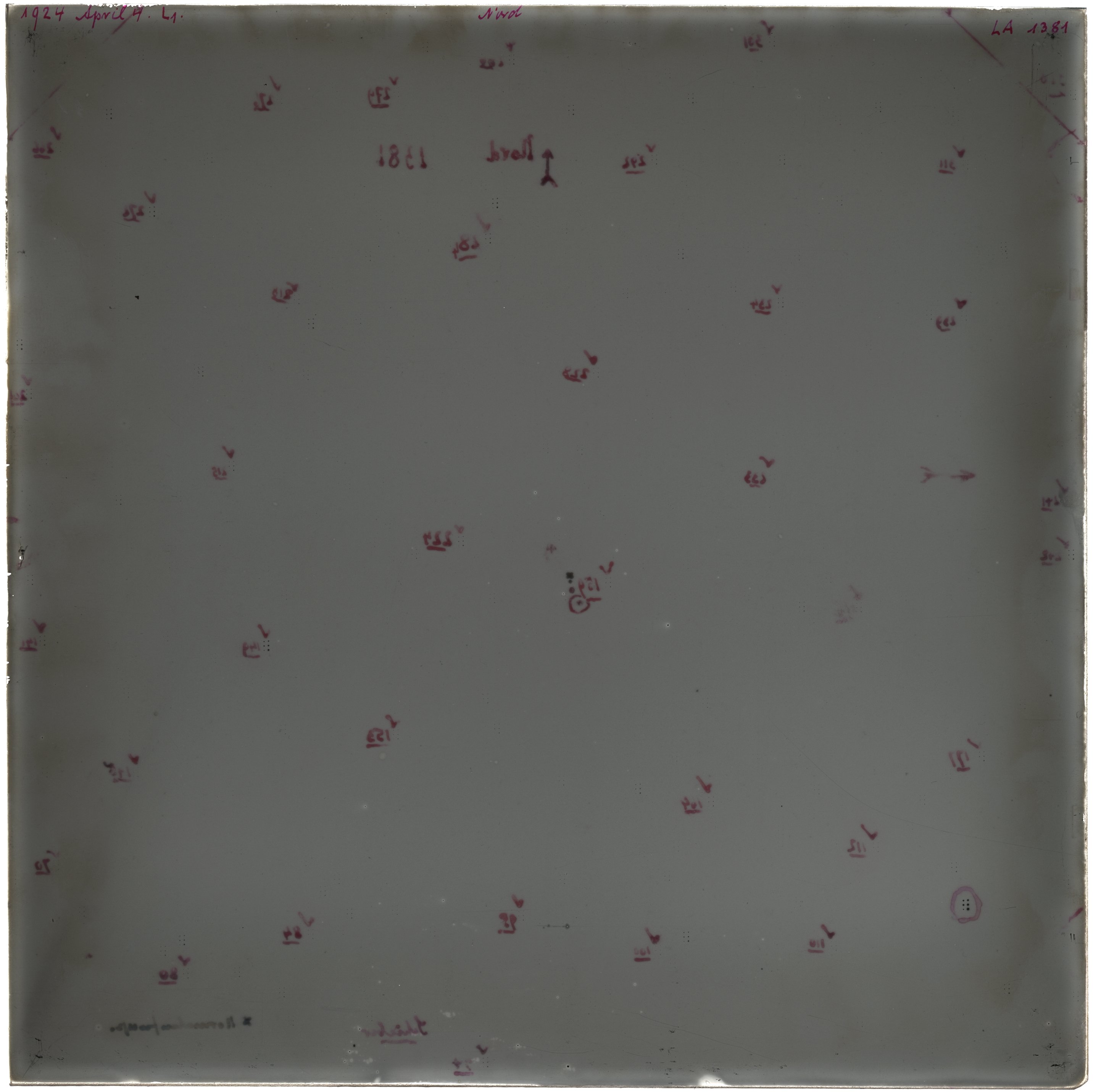 Scan LA01381