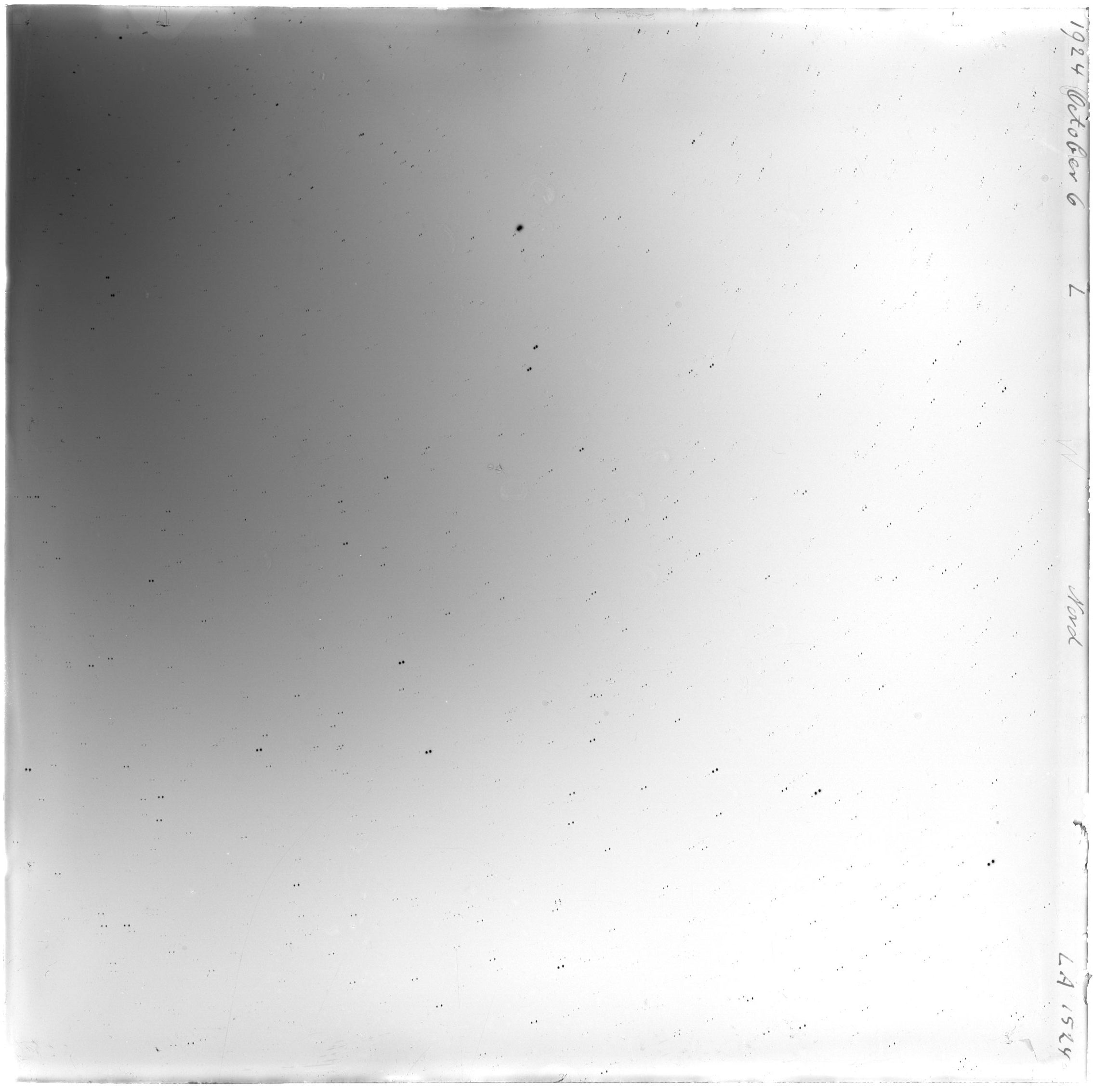 Scan LA01524