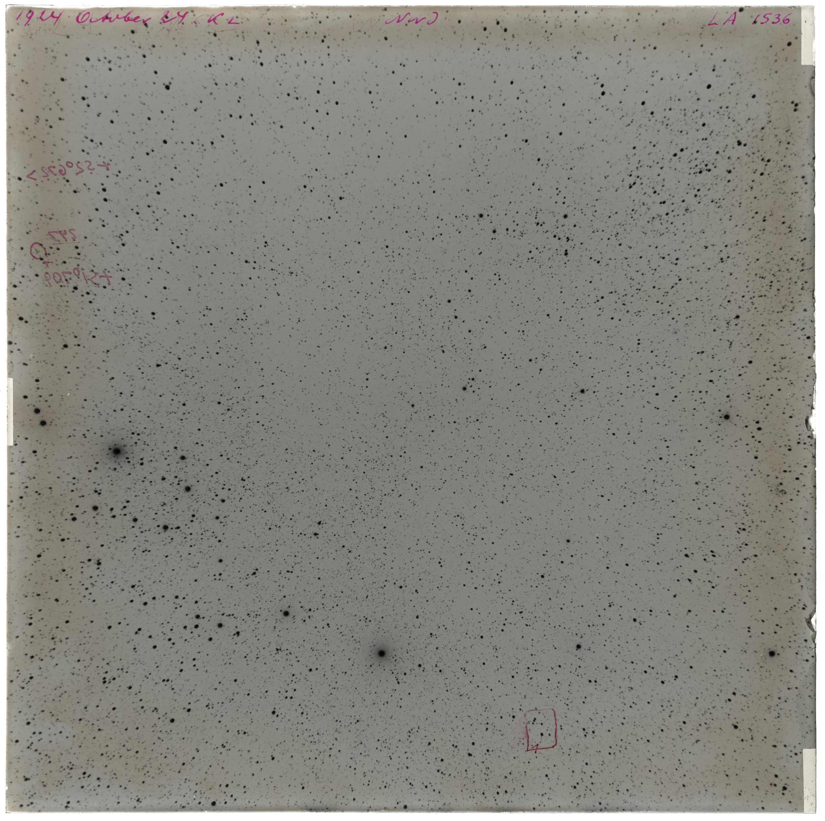 Scan LA01536