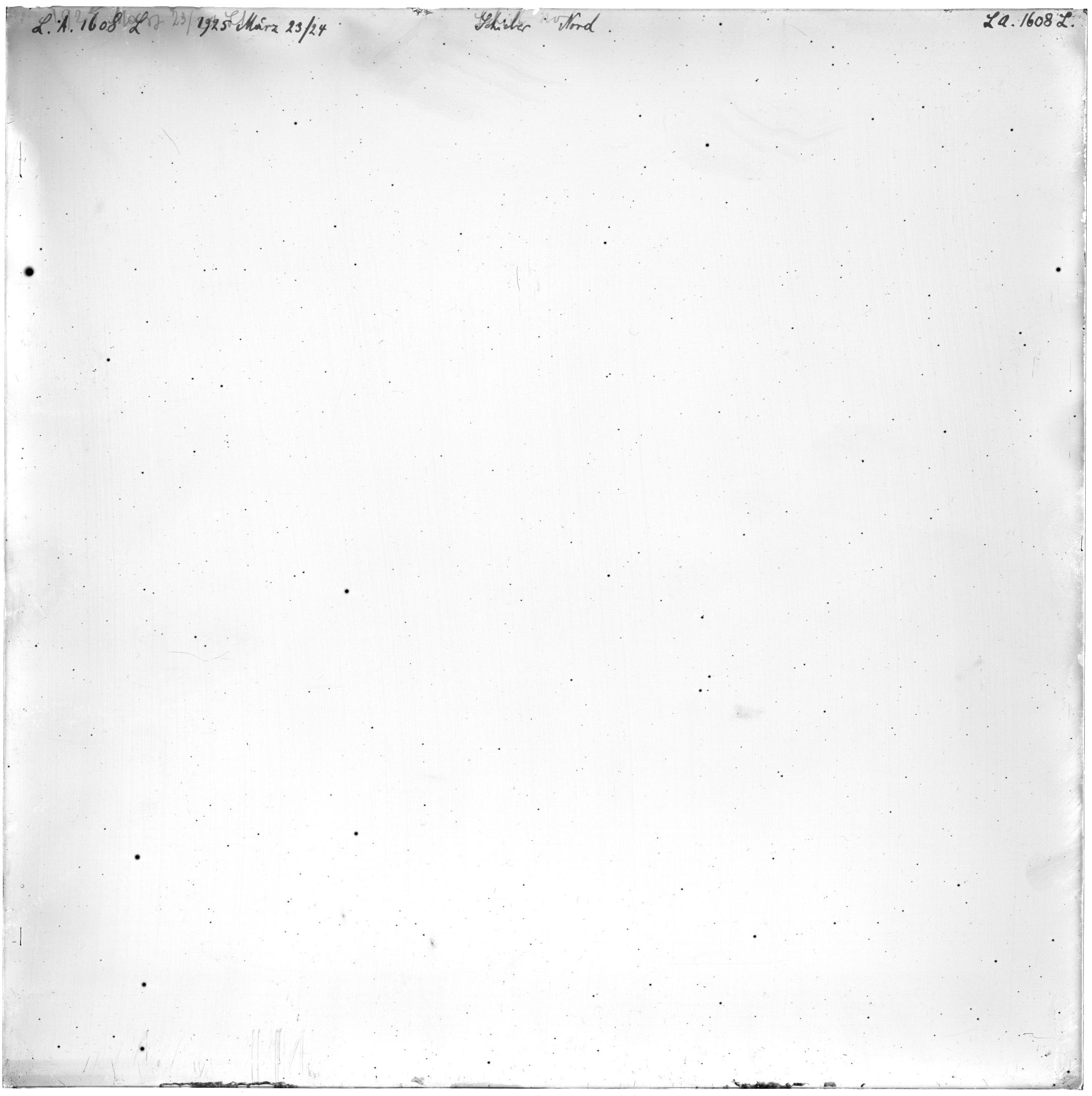 Scan LA01608