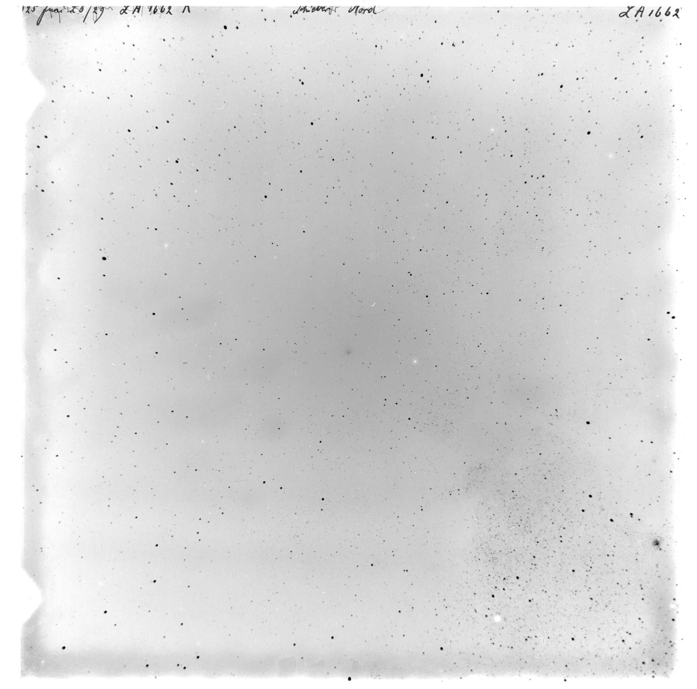 Scan LA01662