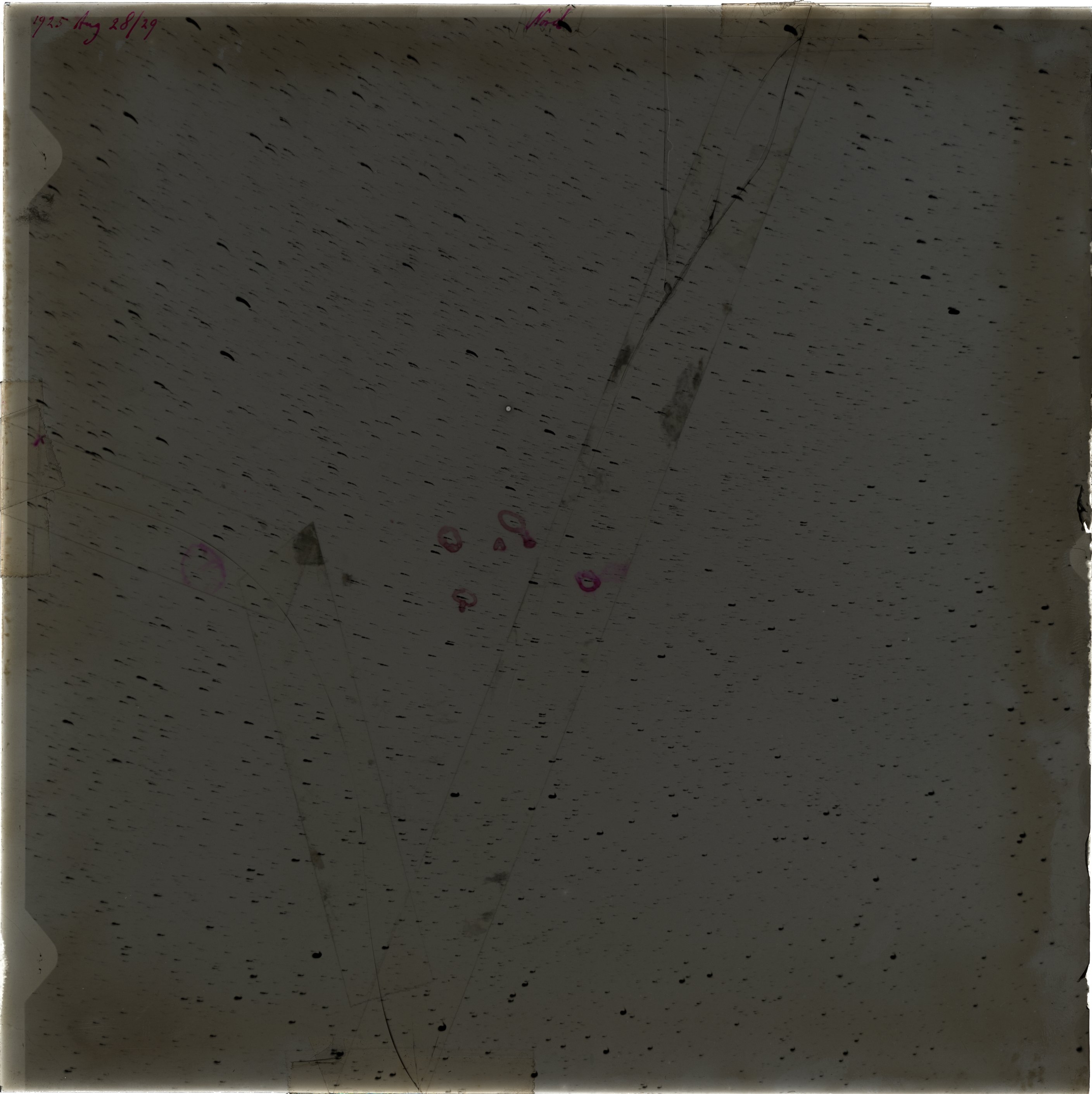 Scan LA01687
