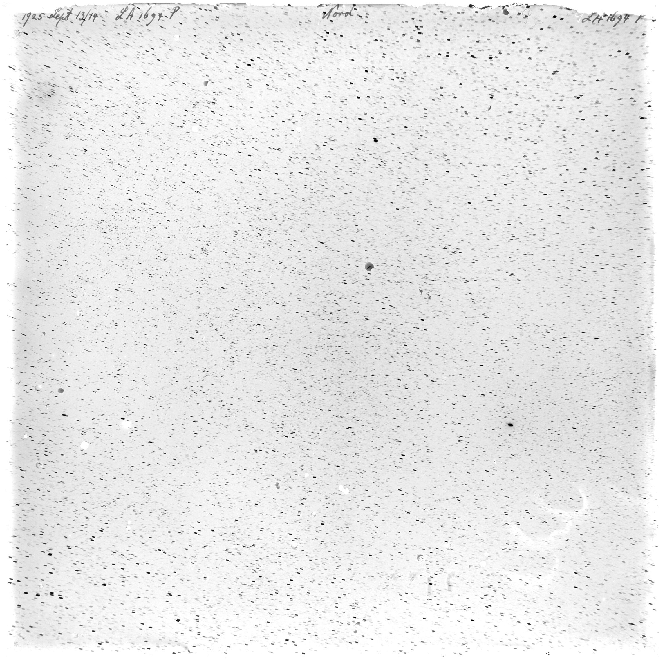 Scan LA01694