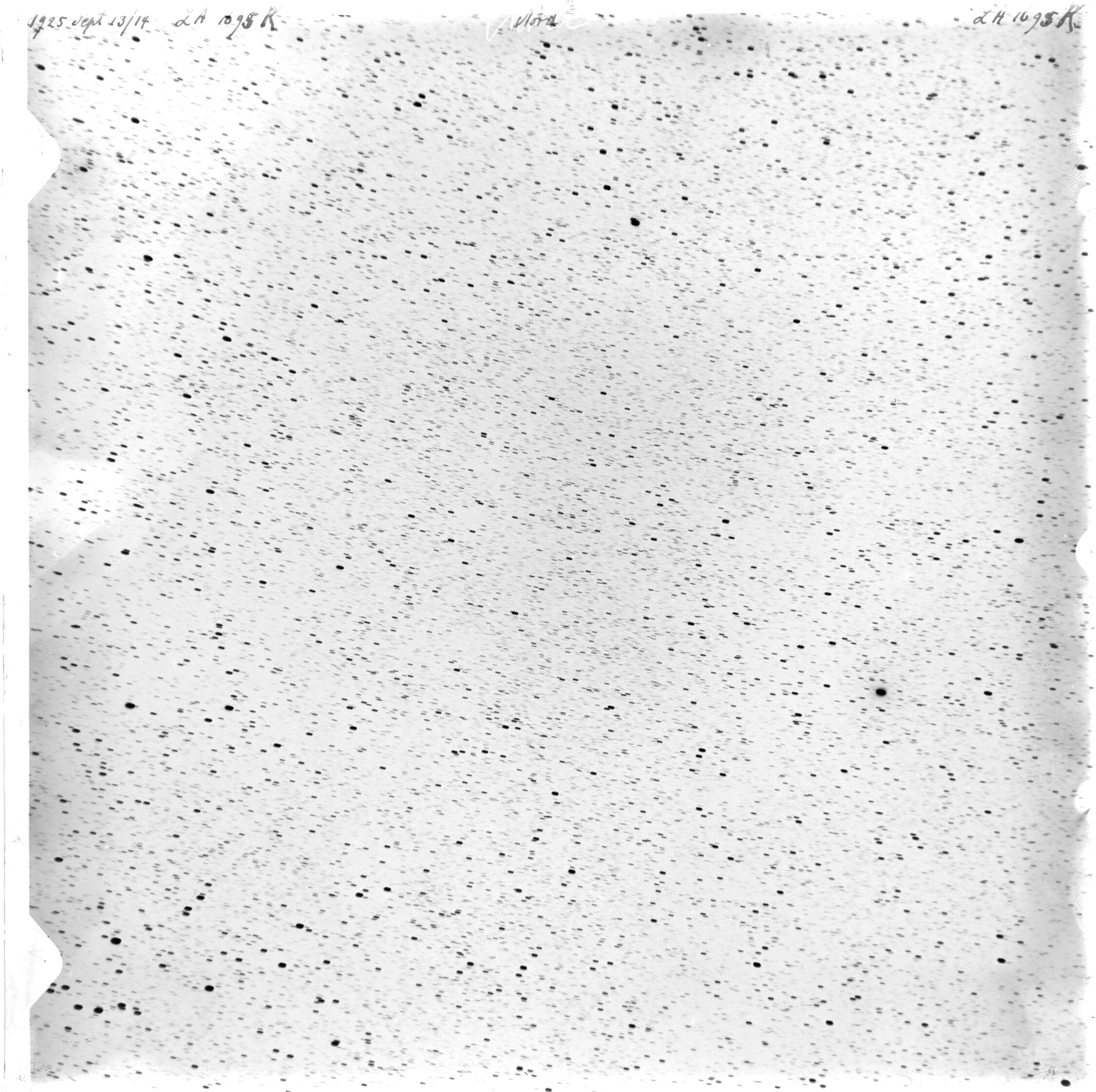 Scan LA01695