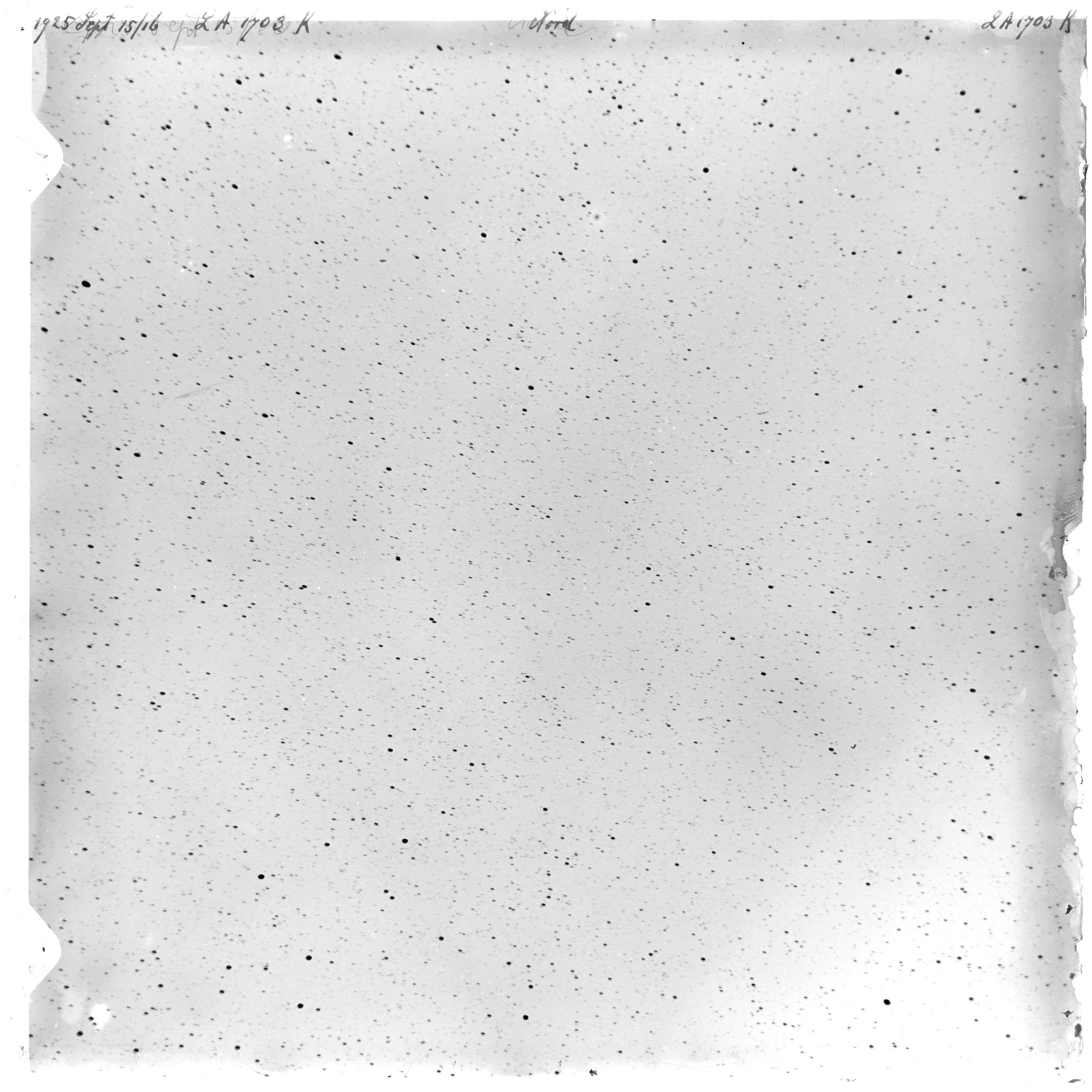Scan LA01703