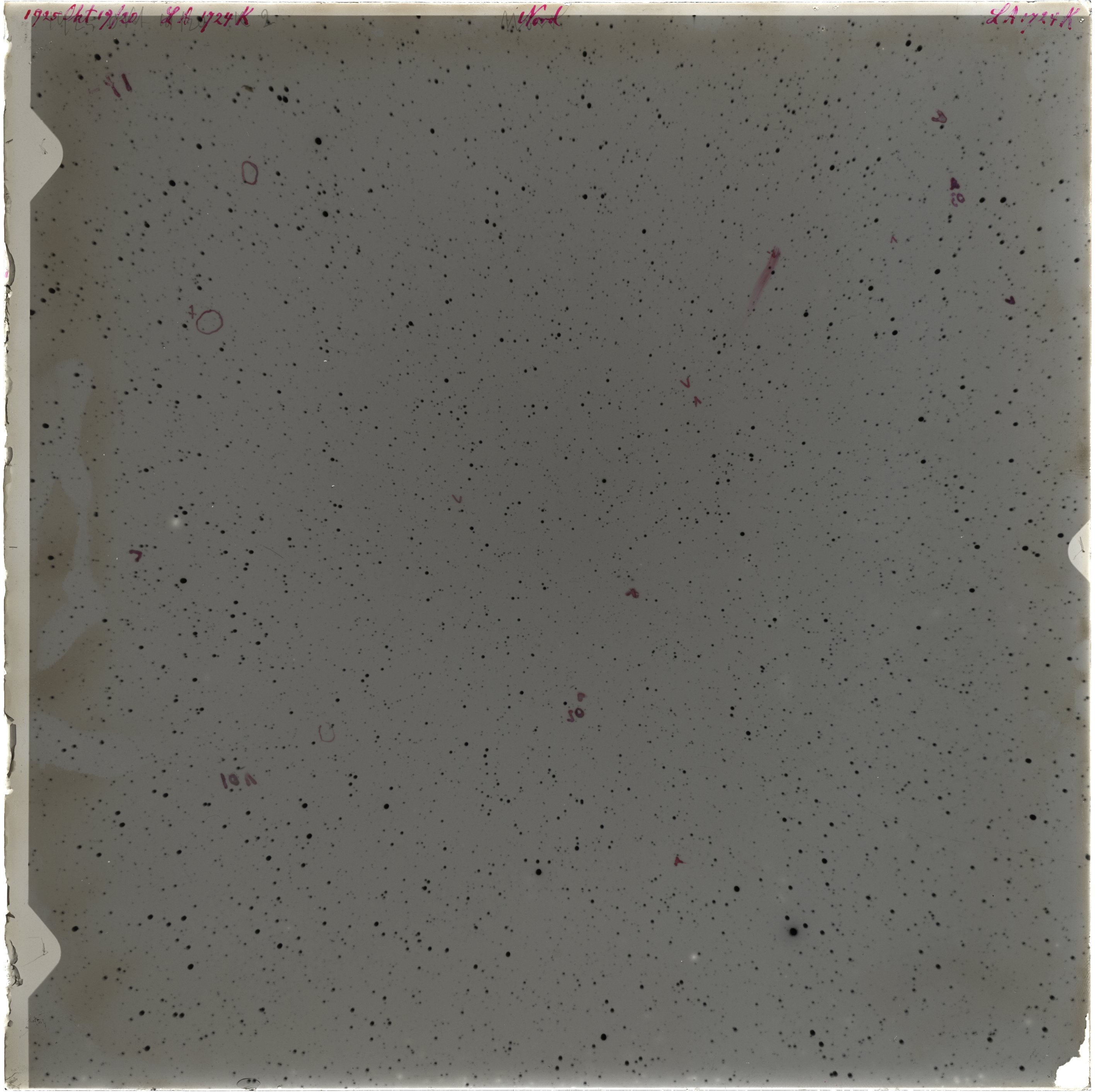 Scan LA01724