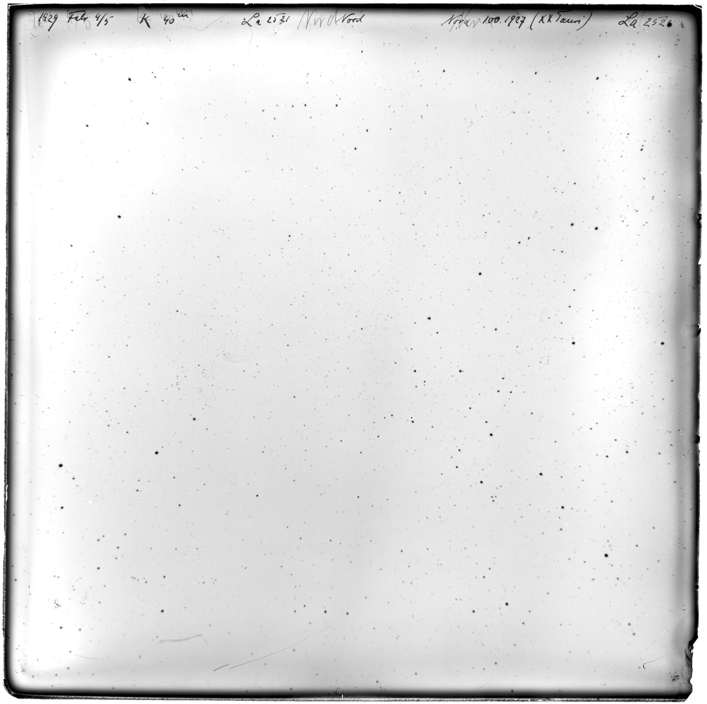 Scan LA02521