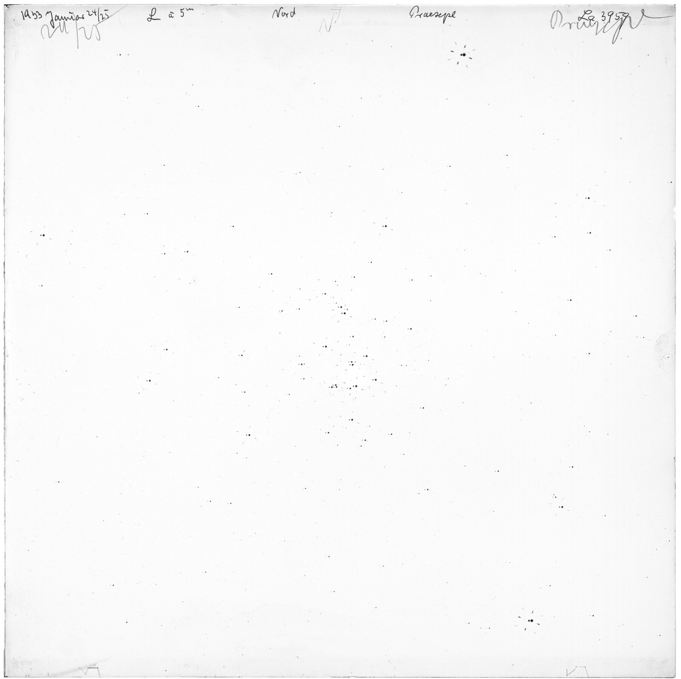 Scan LA03959