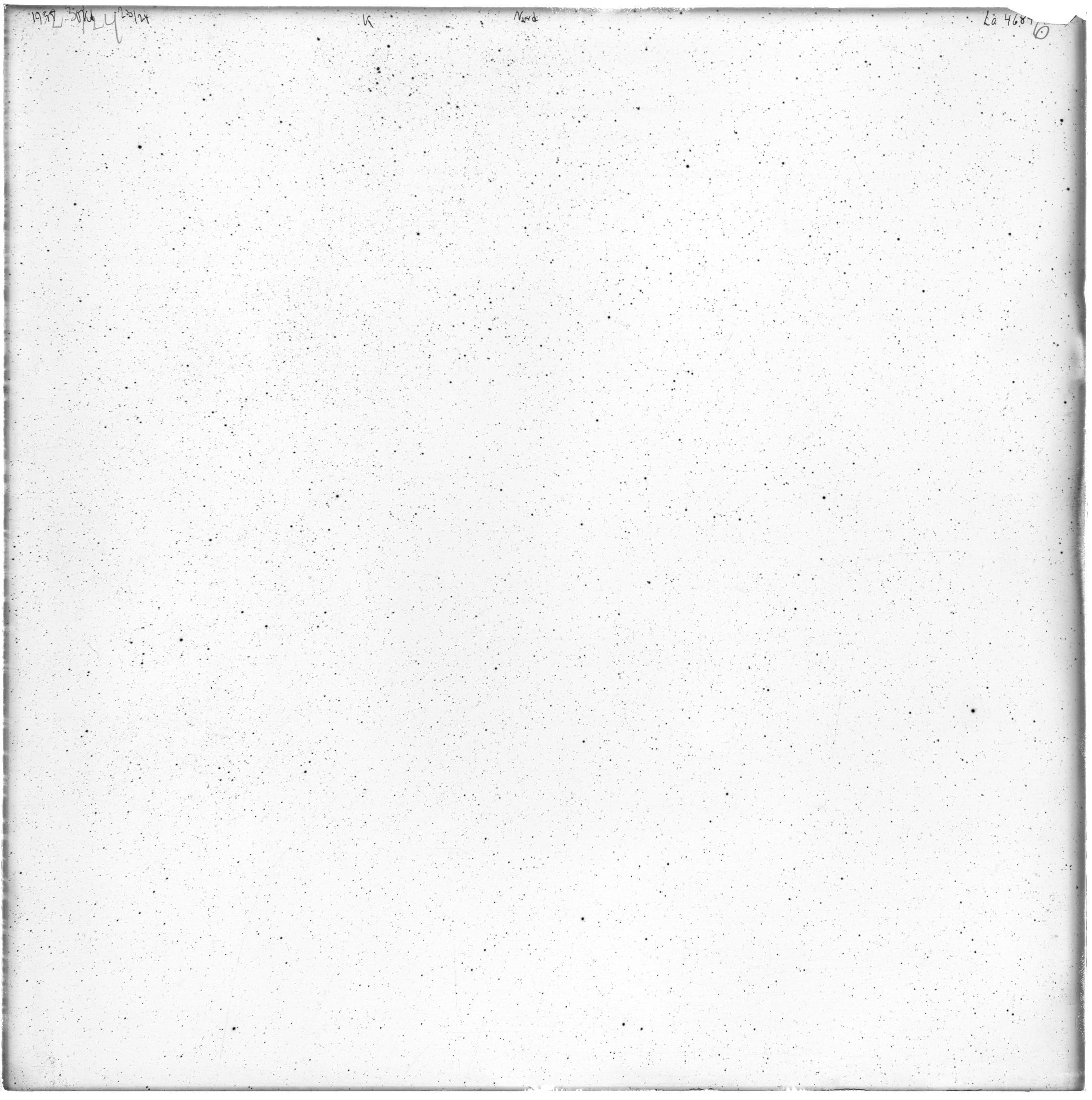 Scan LA04684