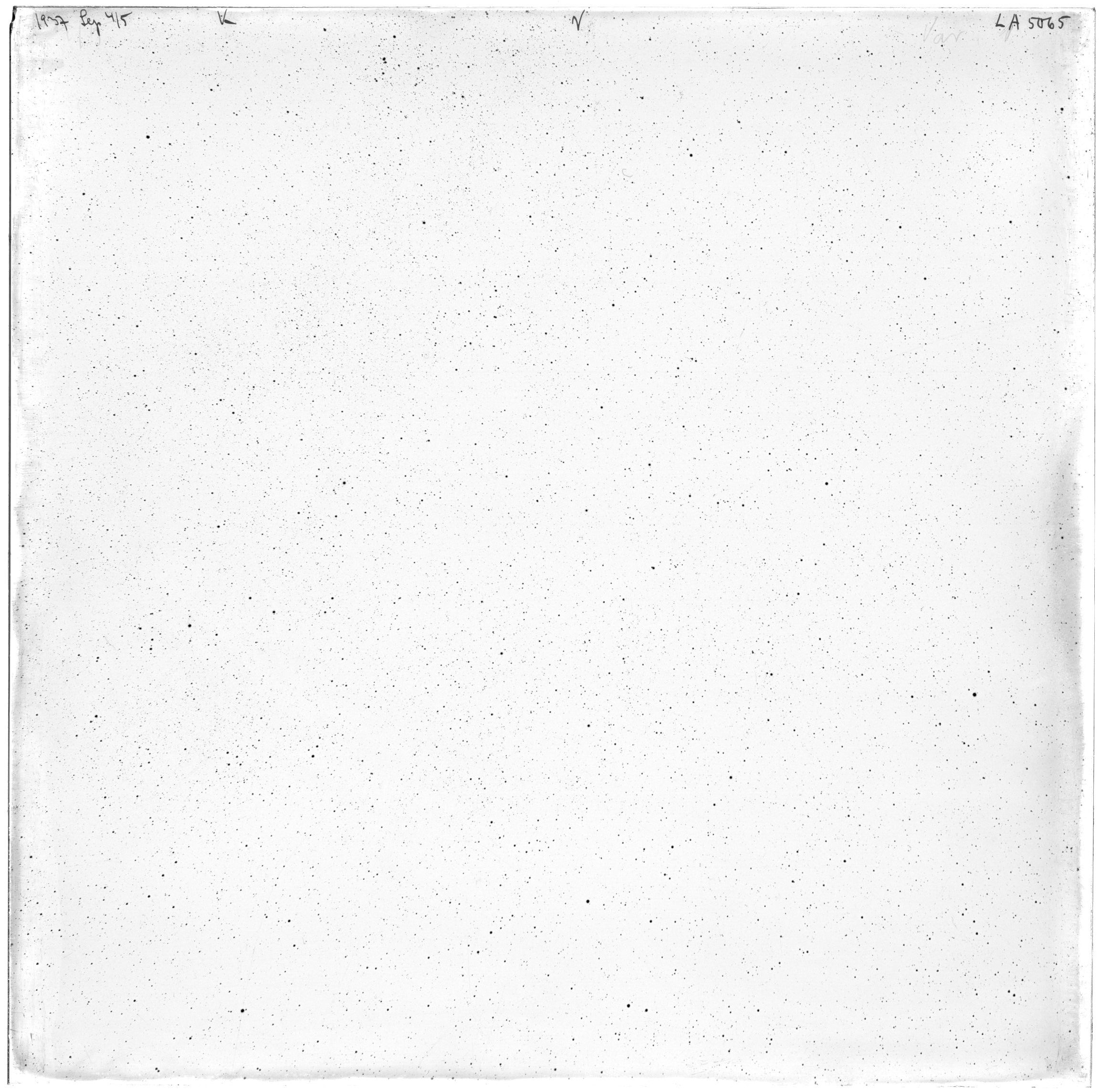 Scan LA05065