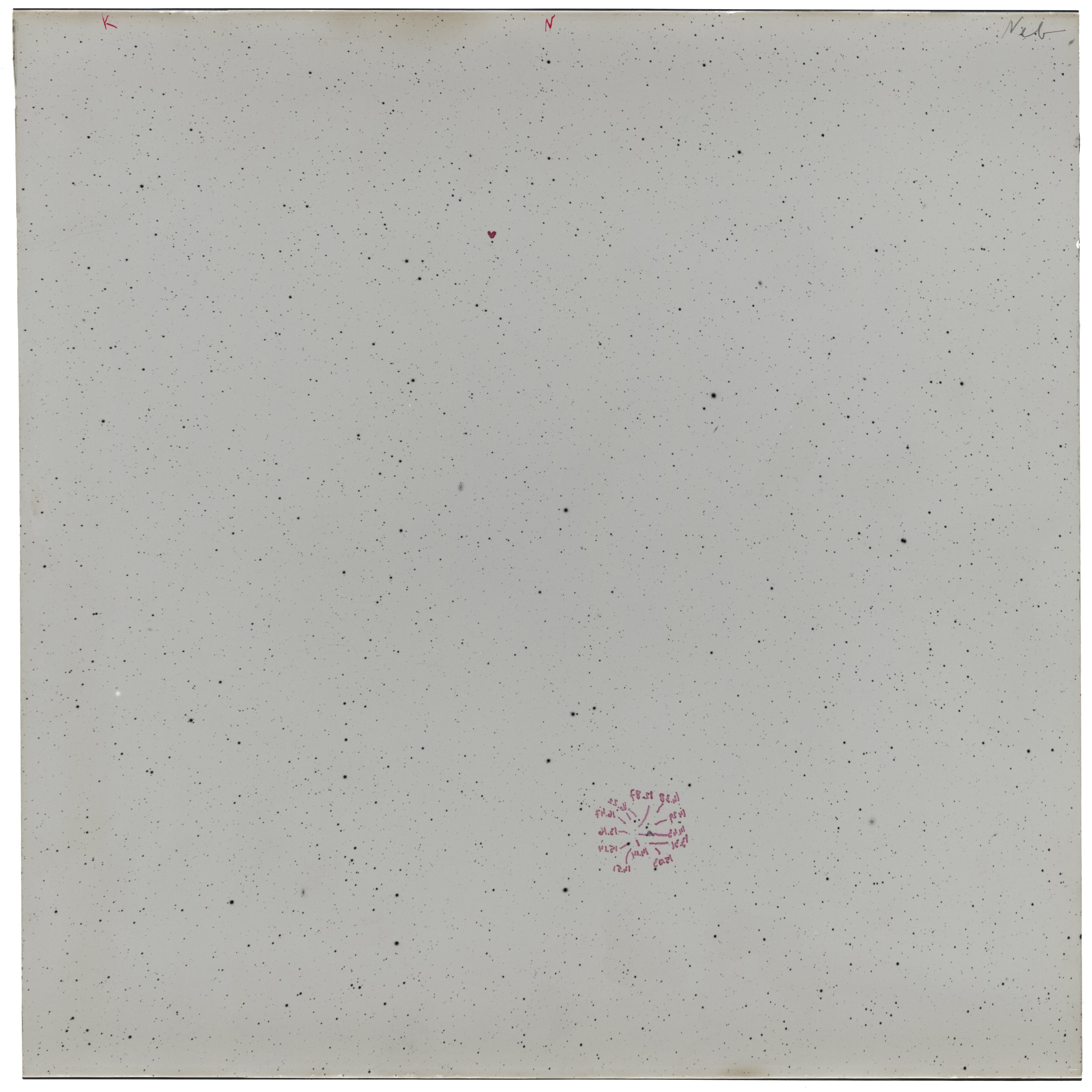 Scan LA05558